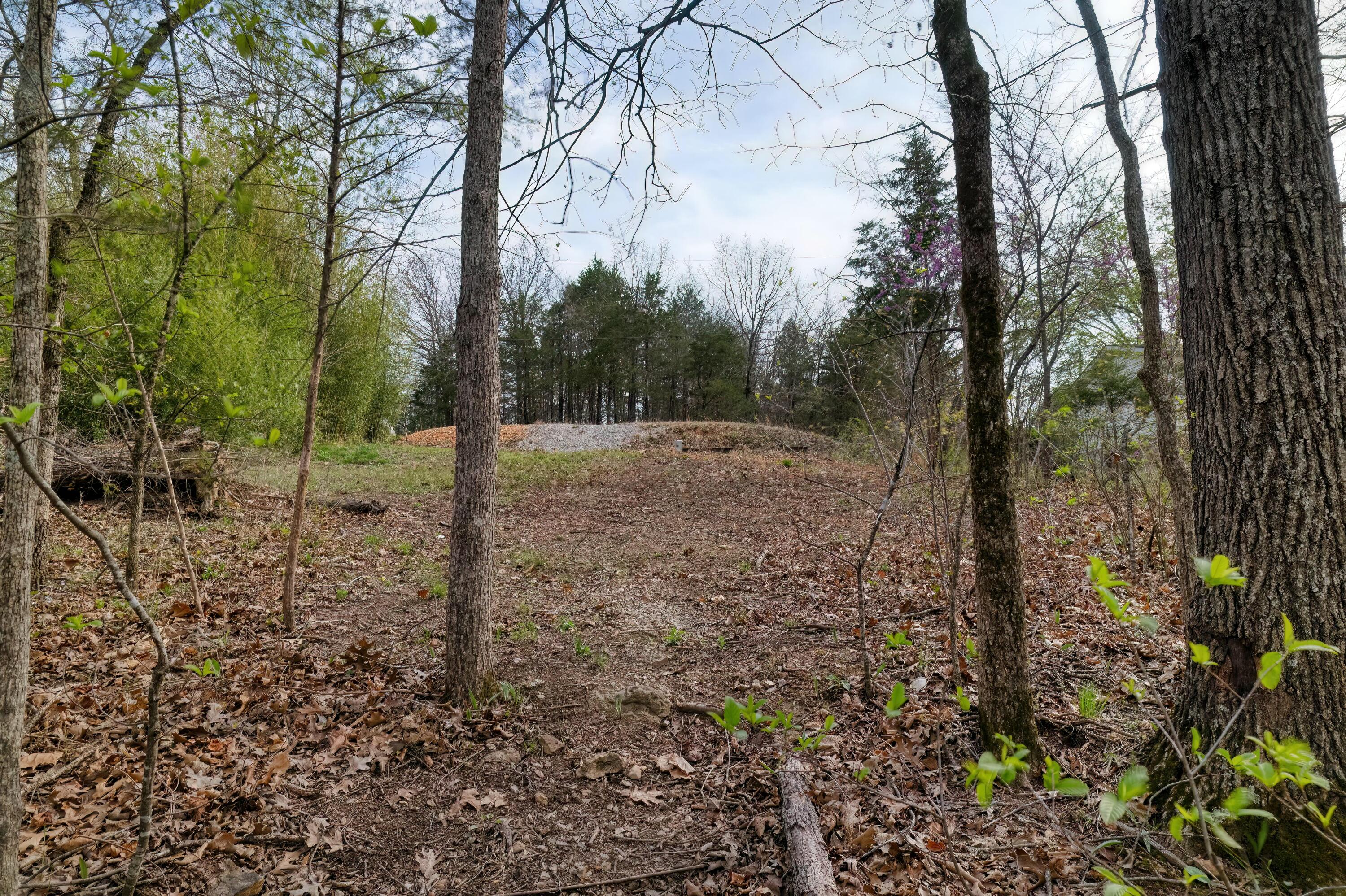 732 Lake Road Property Photo 14