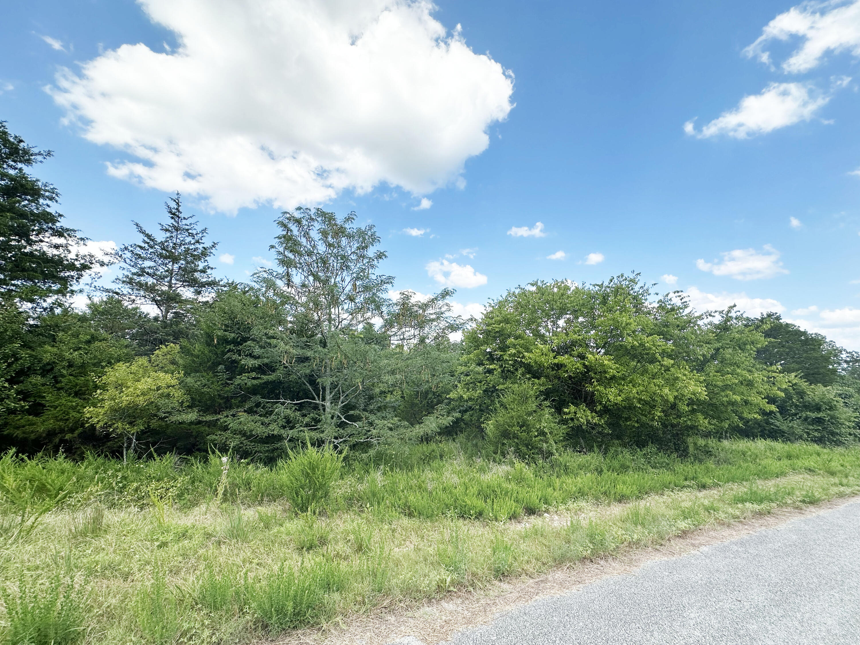 000 Shady Oaks Shore Property Photo 1