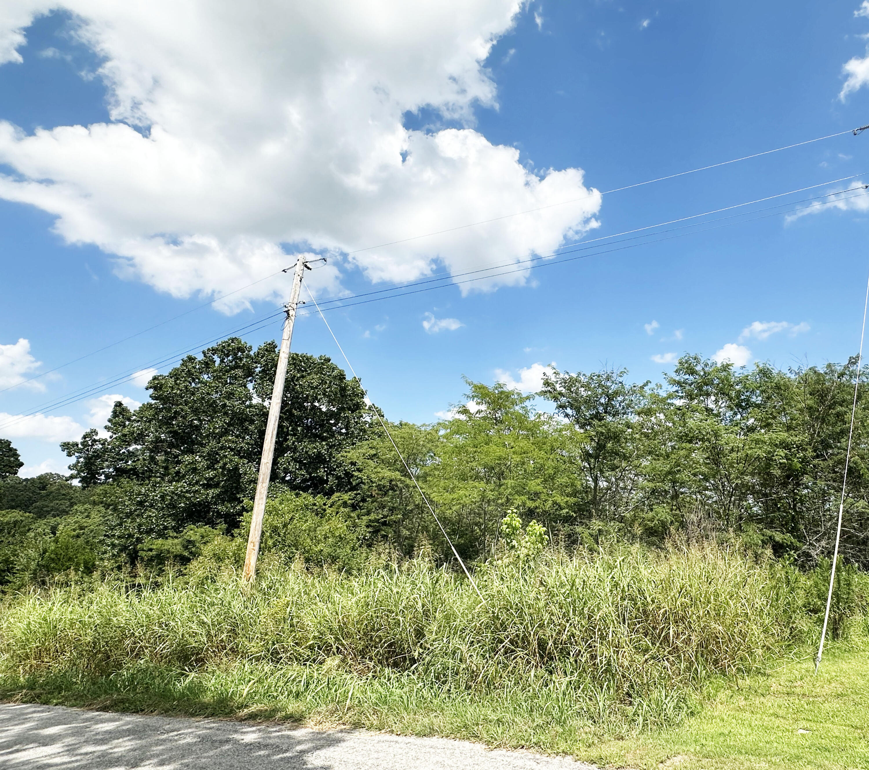 000 Shady Oaks Shore Property Photo 4