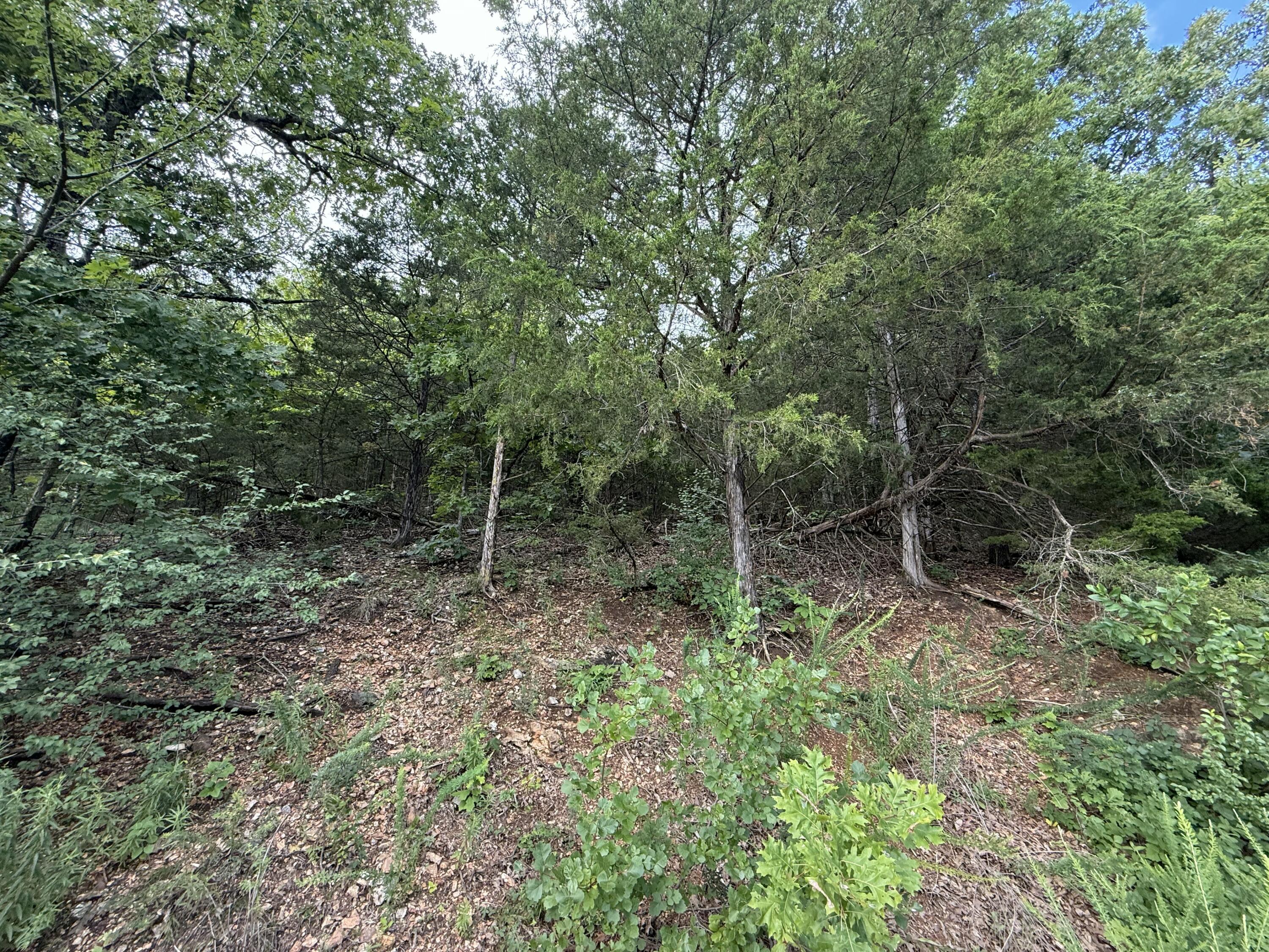 296 Emerald Isle Drive Property Photo 2