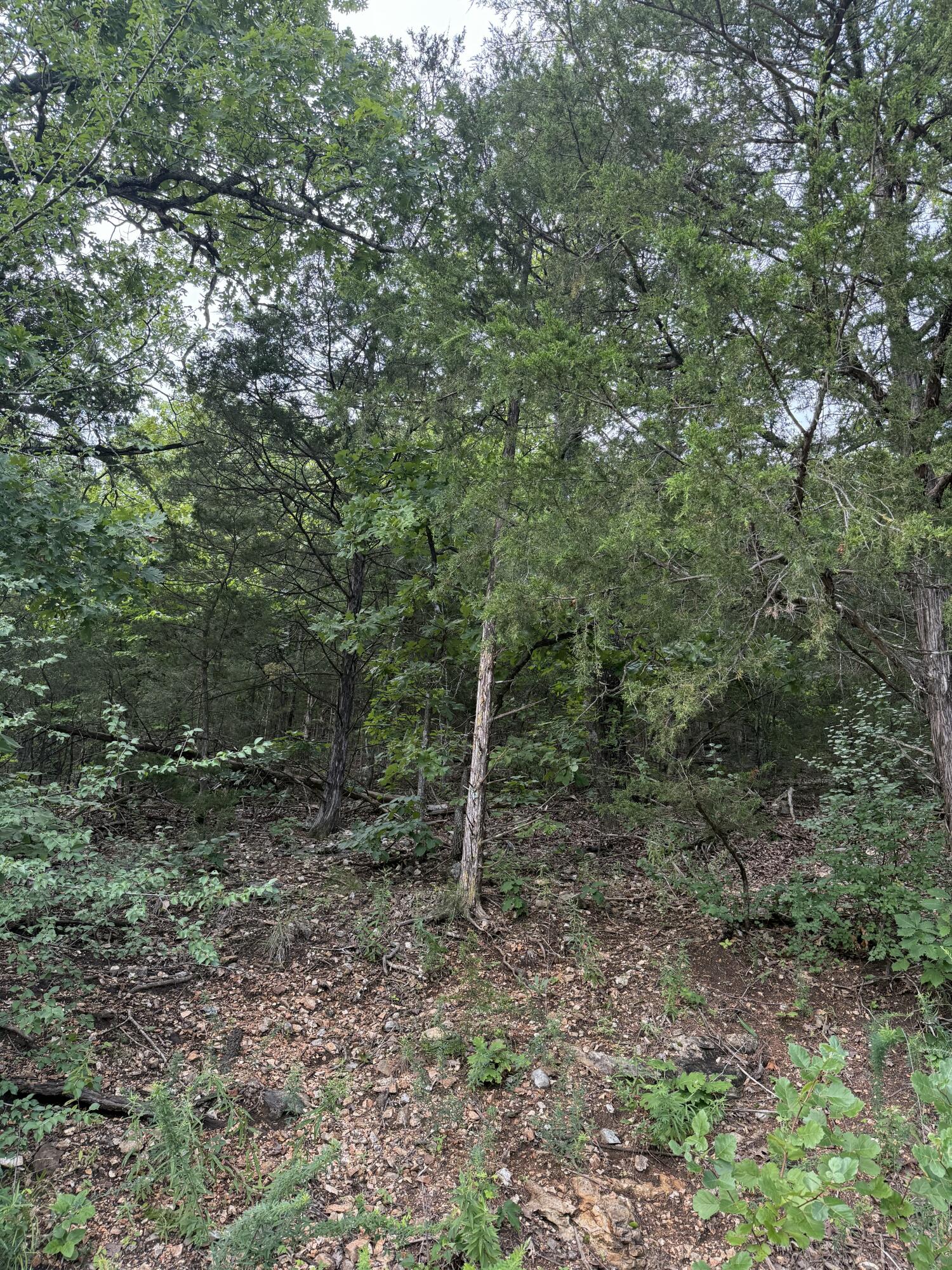 296 Emerald Isle Drive Property Photo 4