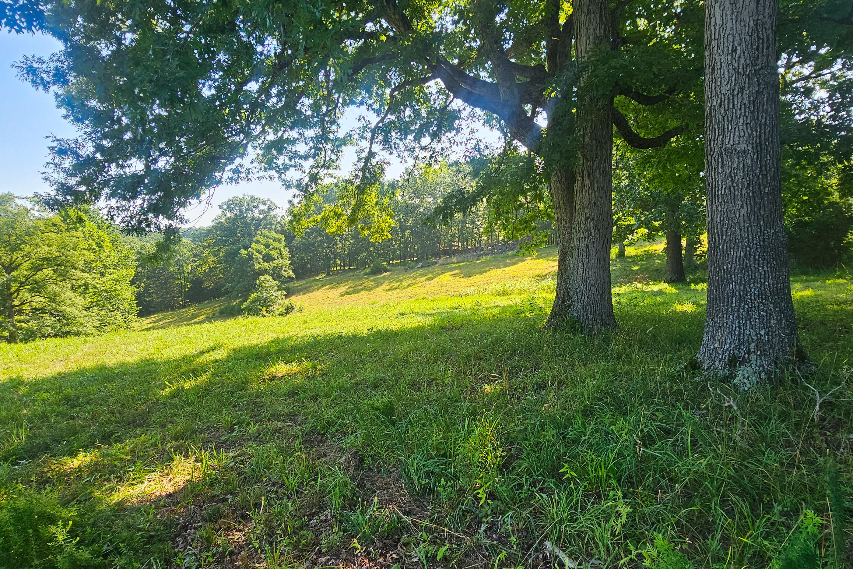 000 County Road 643 Property Photo 4