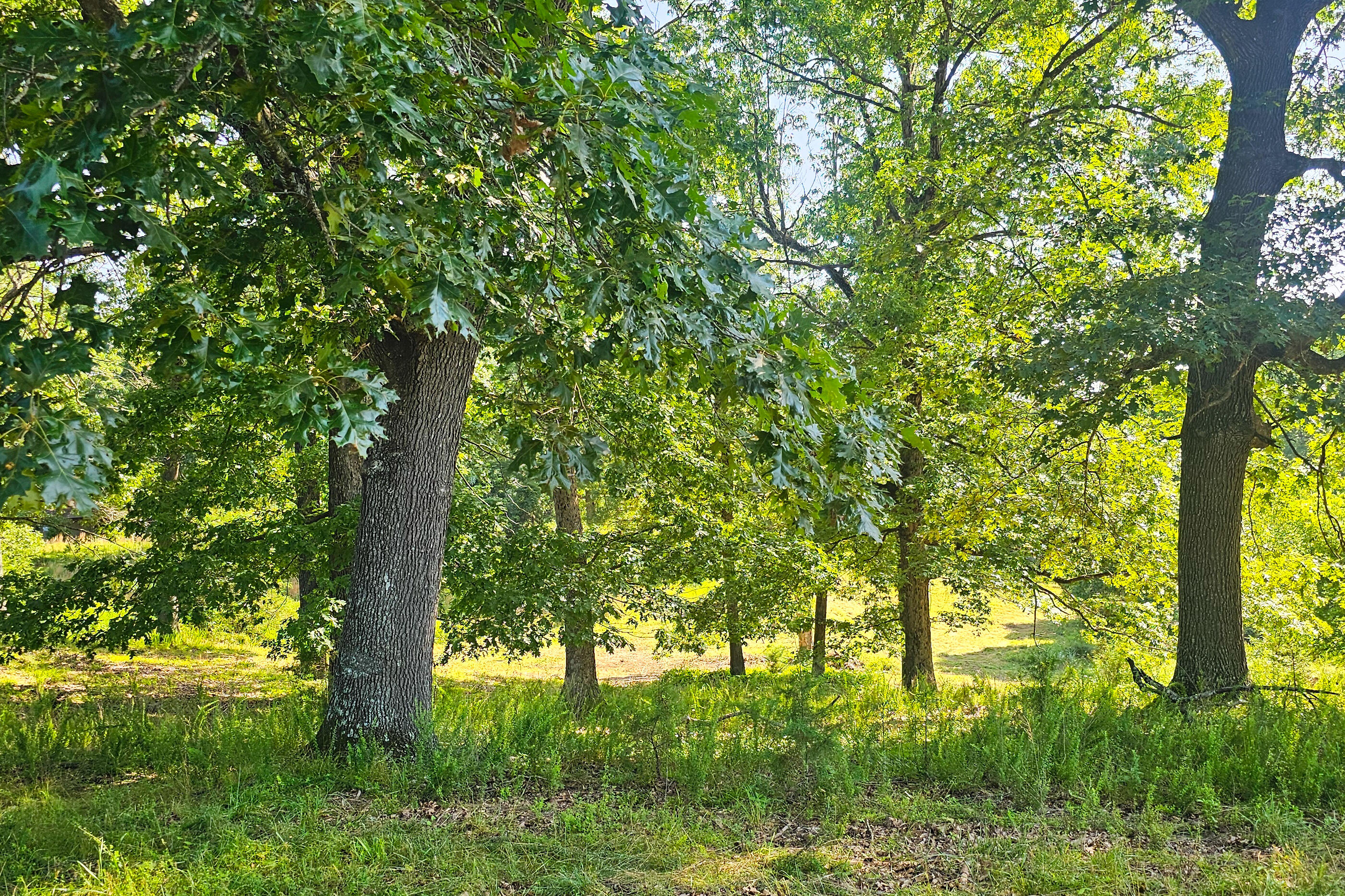 000 County Road 643 Property Photo 5