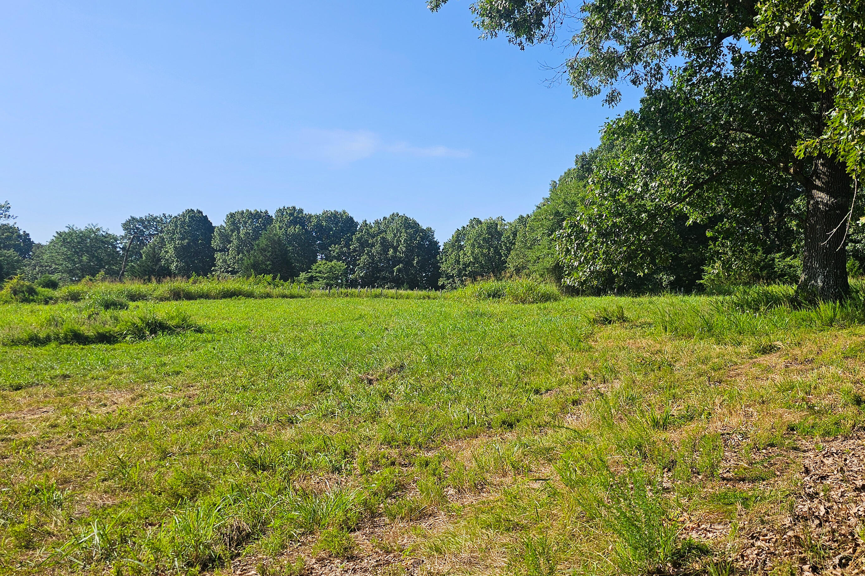 000 County Road 643 Property Photo 7