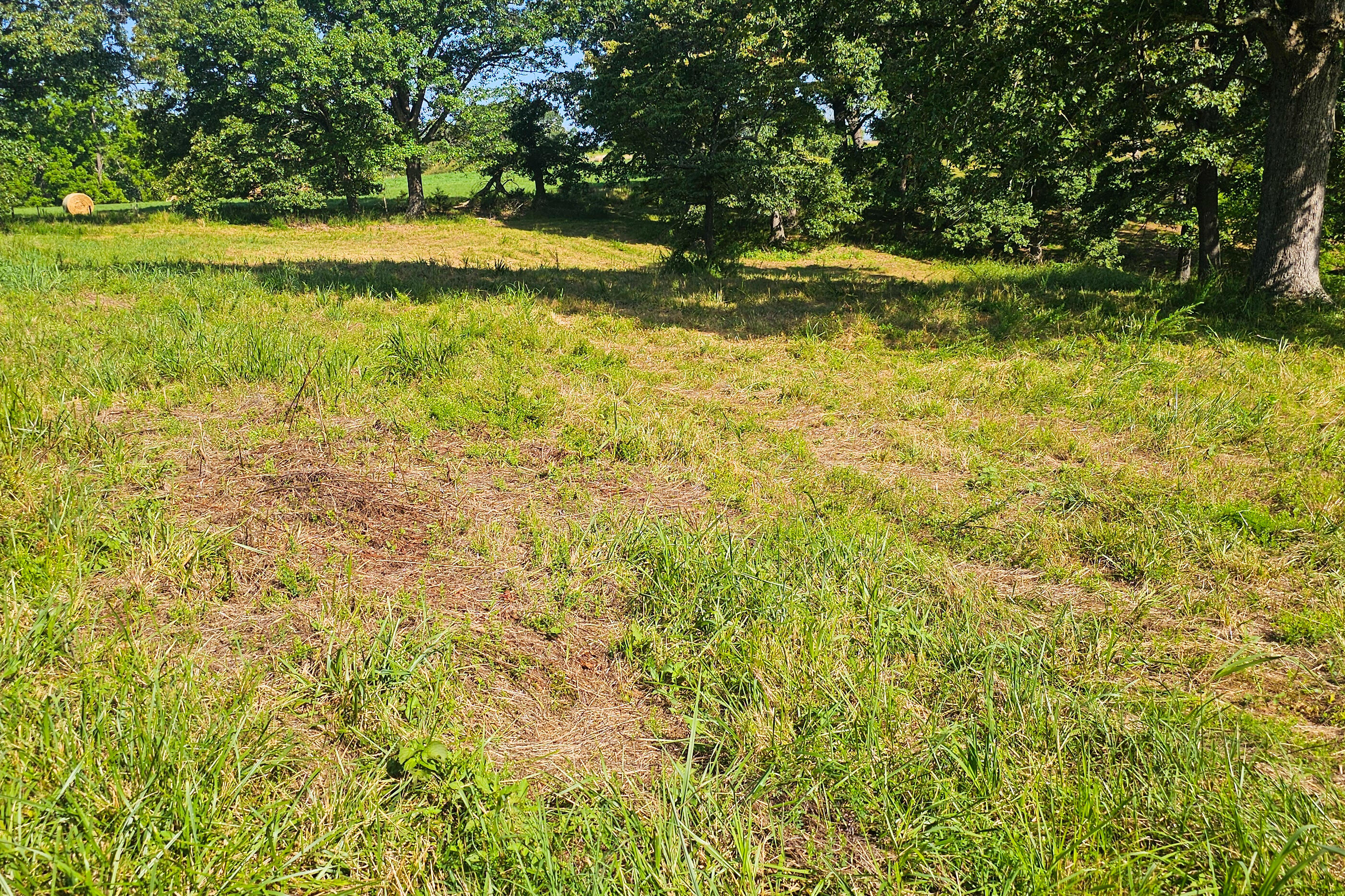 000 County Road 643 Property Photo 21