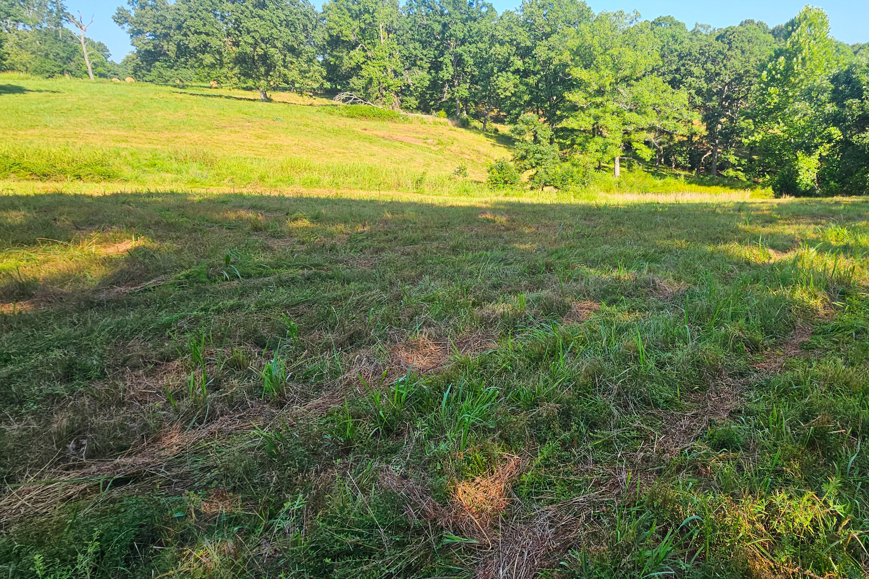 000 County Road 643 Property Photo 23