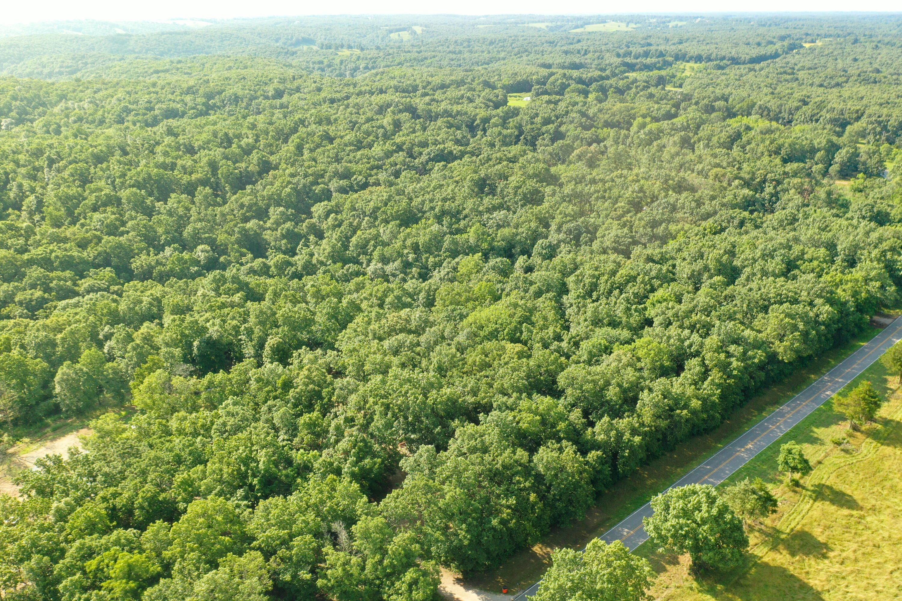 000 State Highway C Property Photo 15