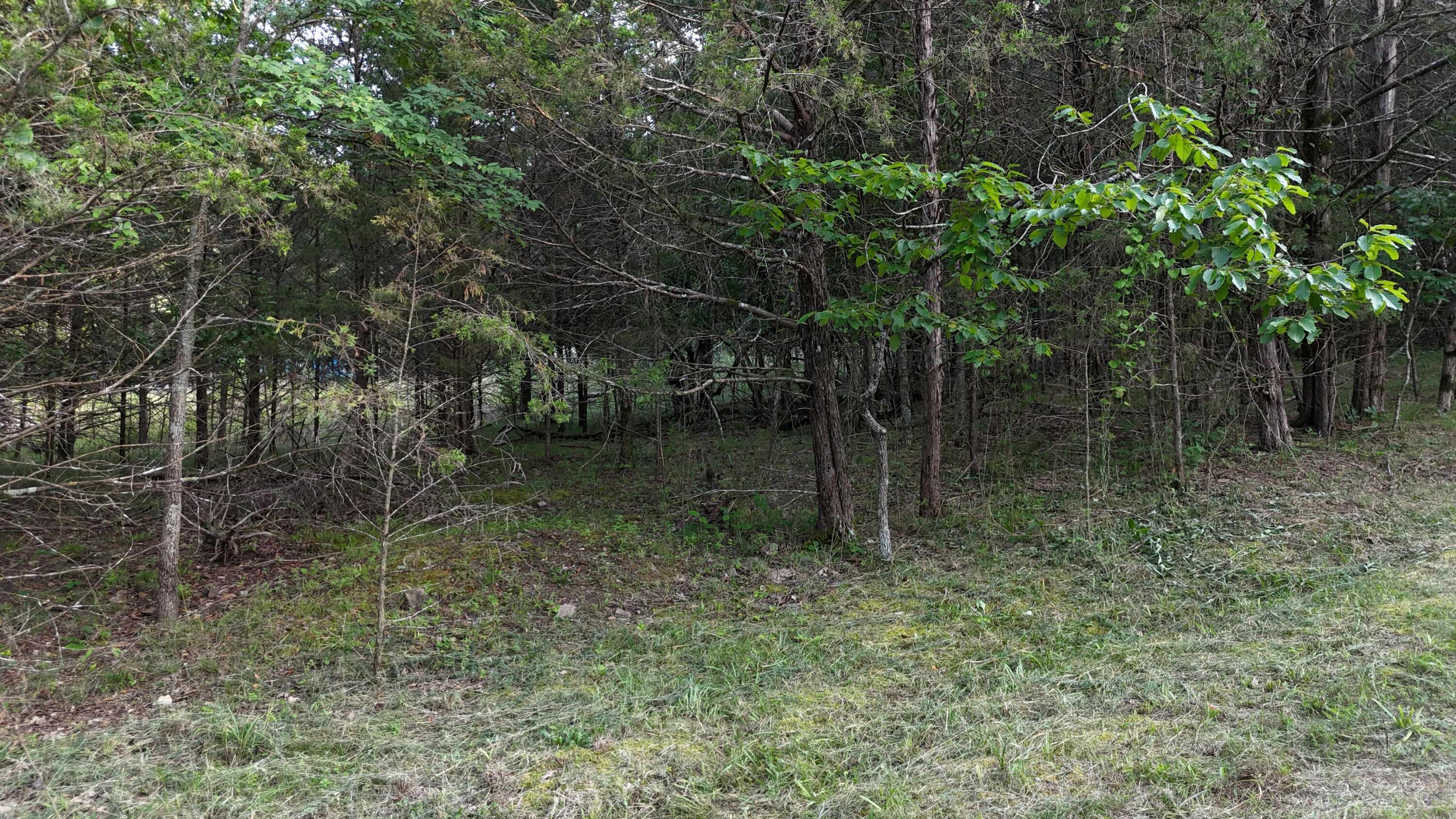 000 East Mockingbird Drive Property Photo 10