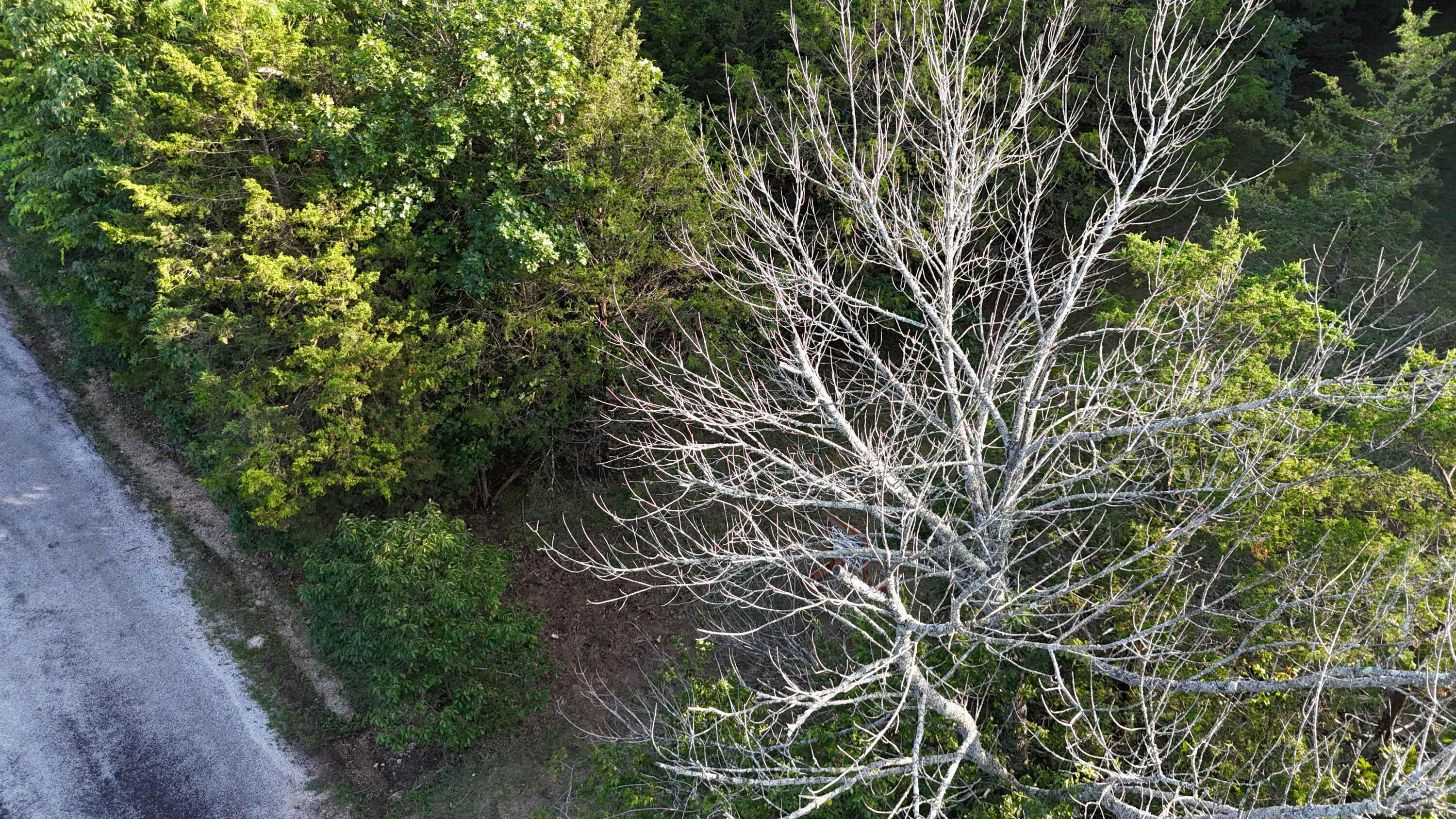 000 East Mockingbird Drive Property Photo 13
