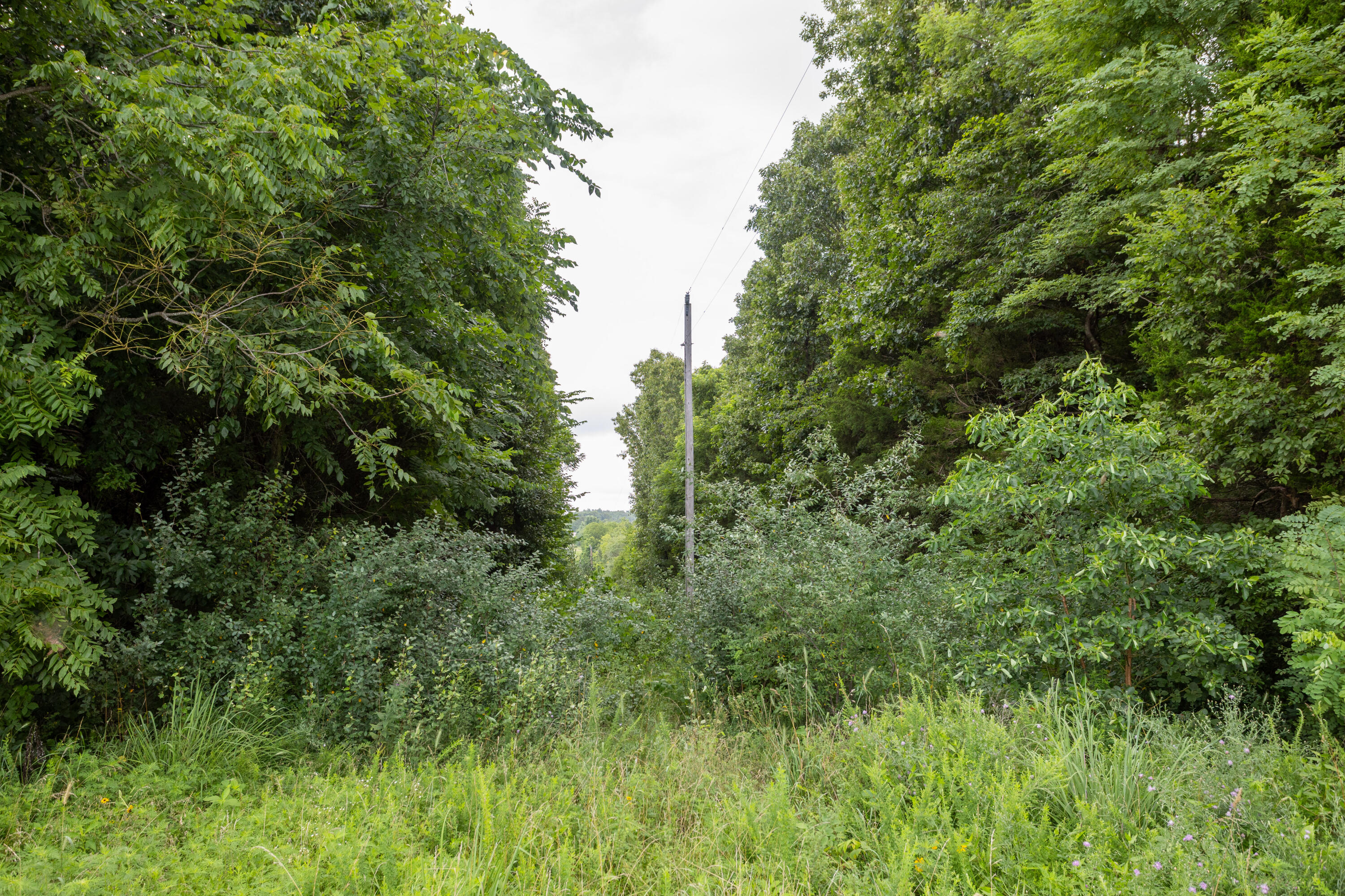 Tbd Goat Road Property Photo 3