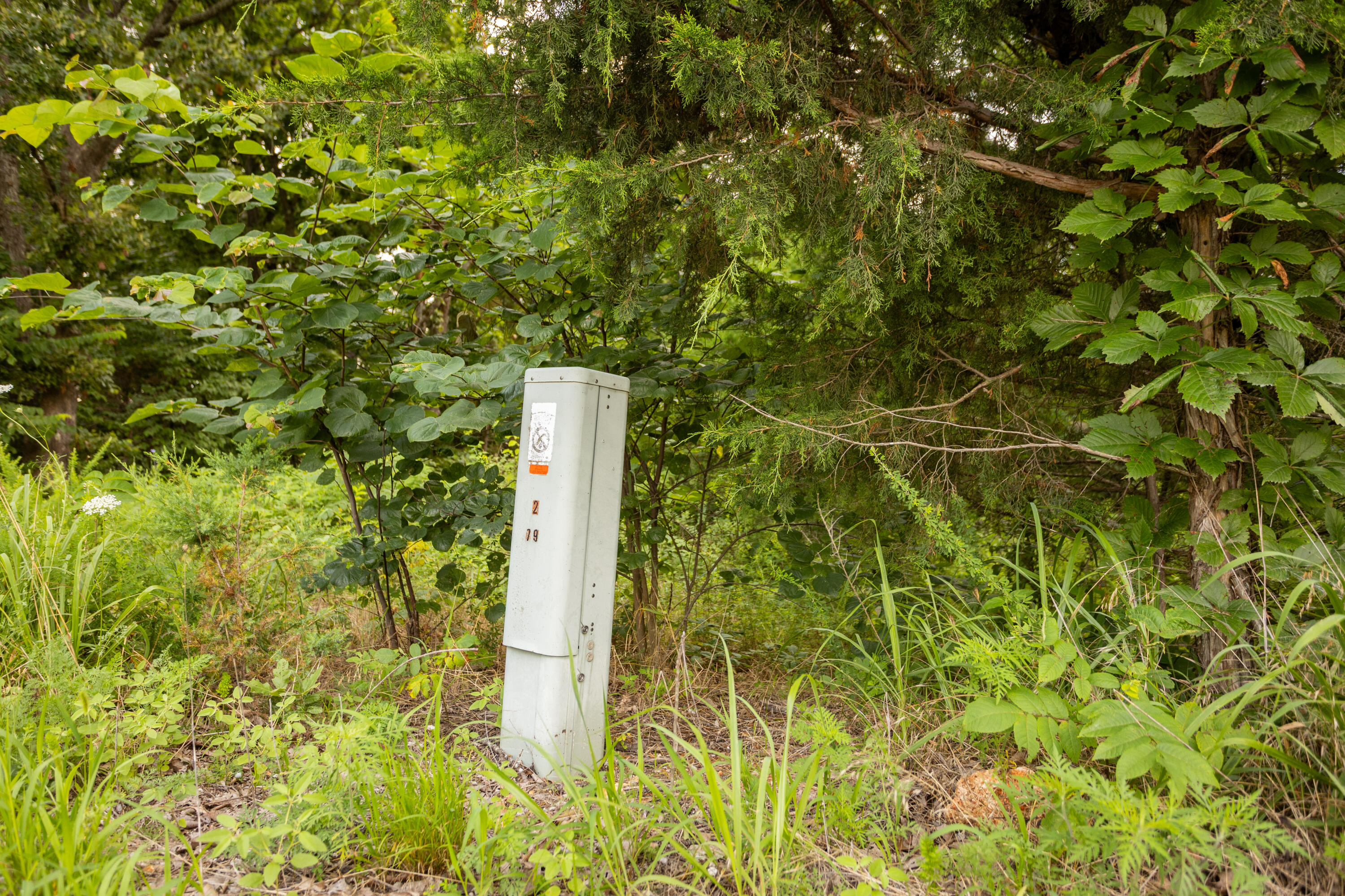 Tbd Goat Road Property Photo 4