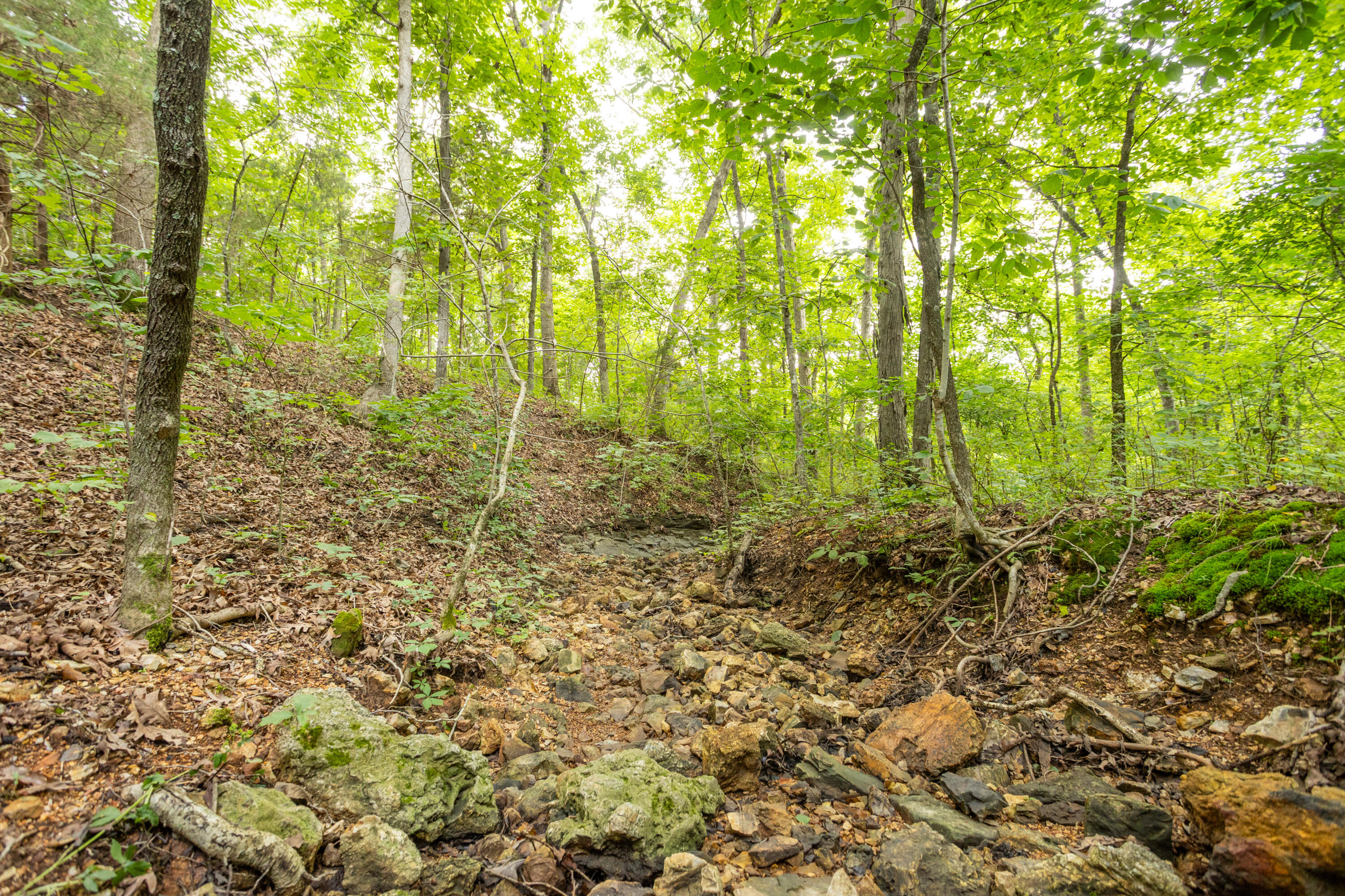 Tbd Goat Road Property Photo 9