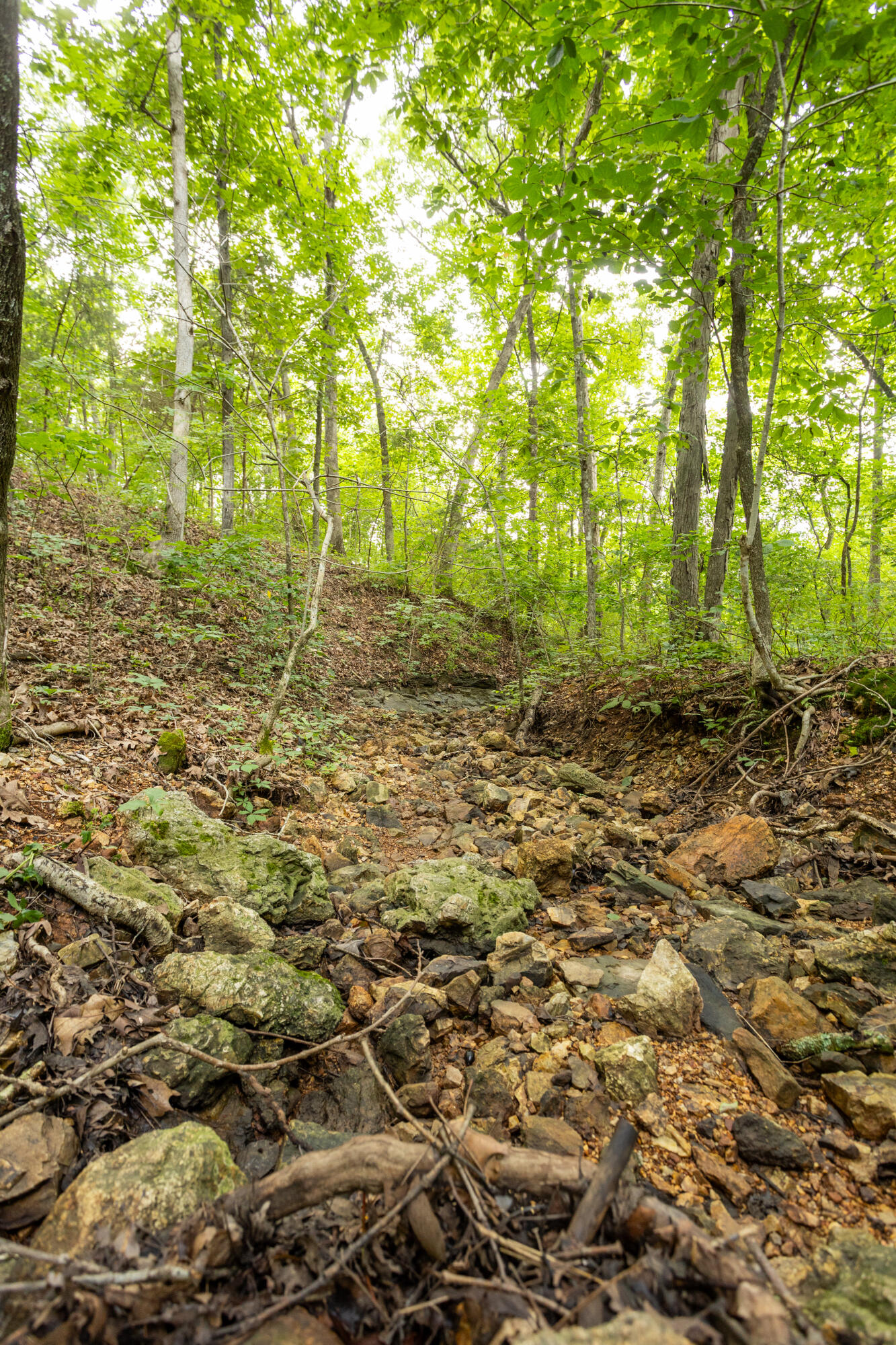 Tbd Goat Road Property Photo 10