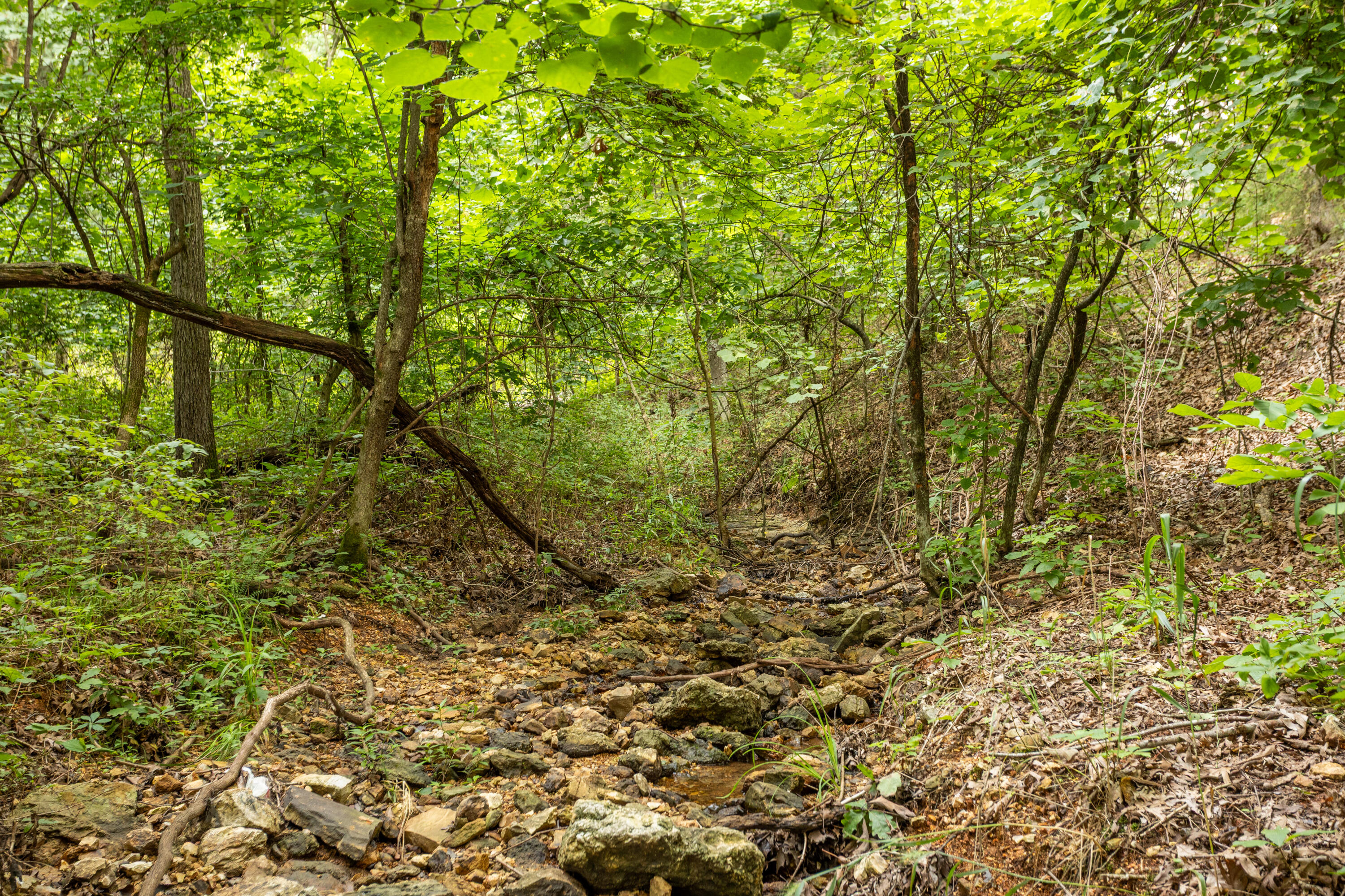 Tbd Goat Road Property Photo 11