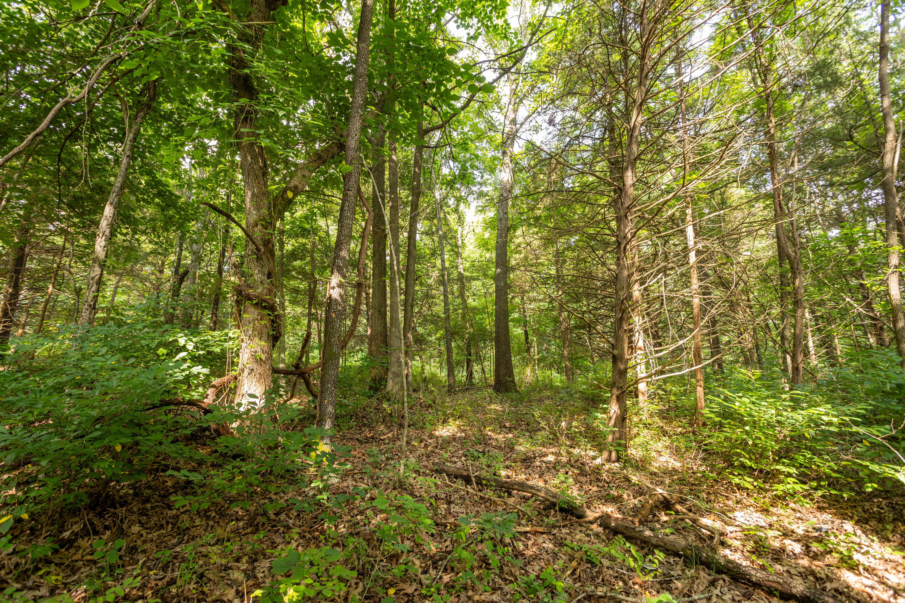 Tbd Goat Road Property Photo 16