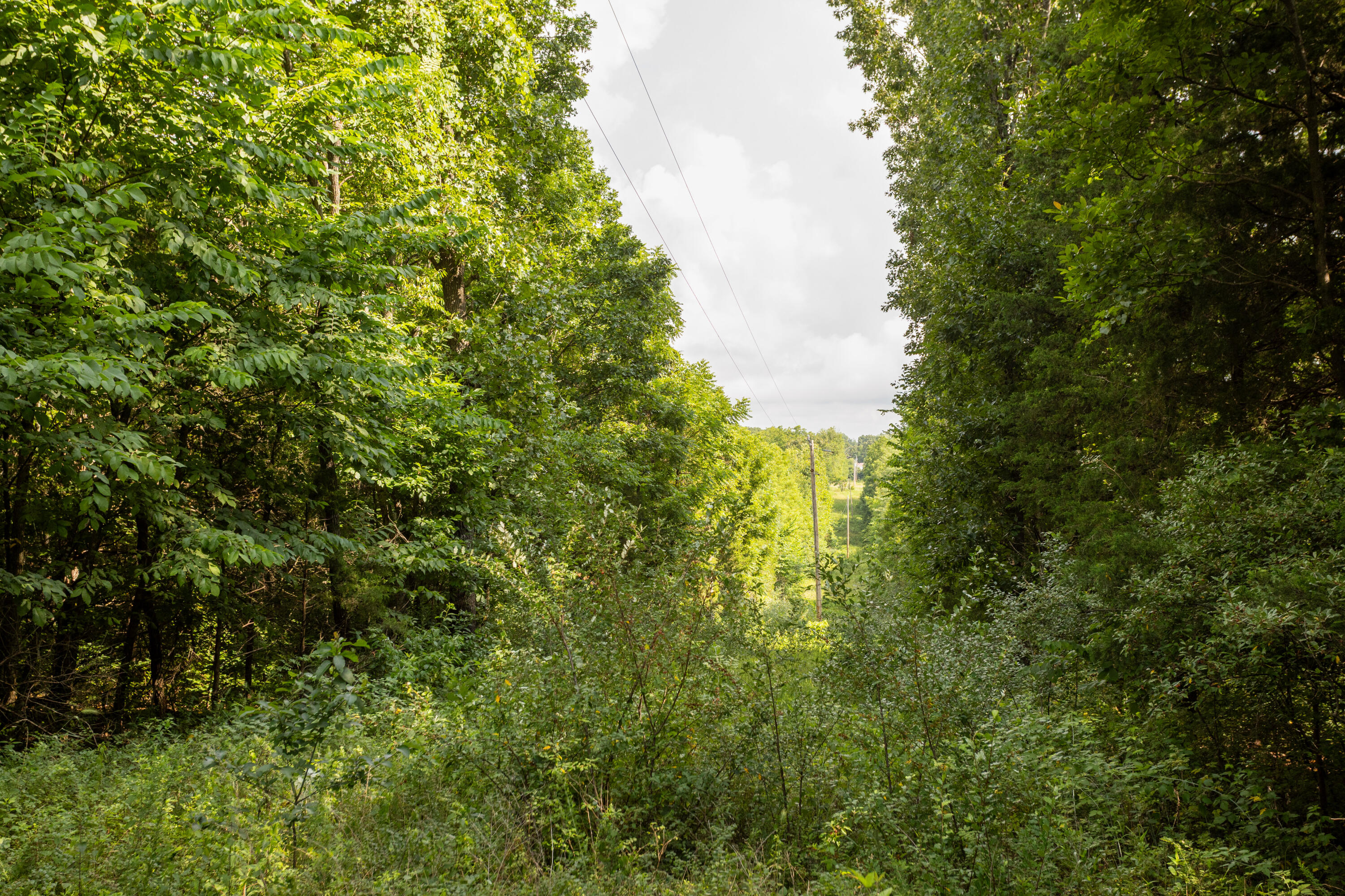 Tbd Goat Road Property Photo 18