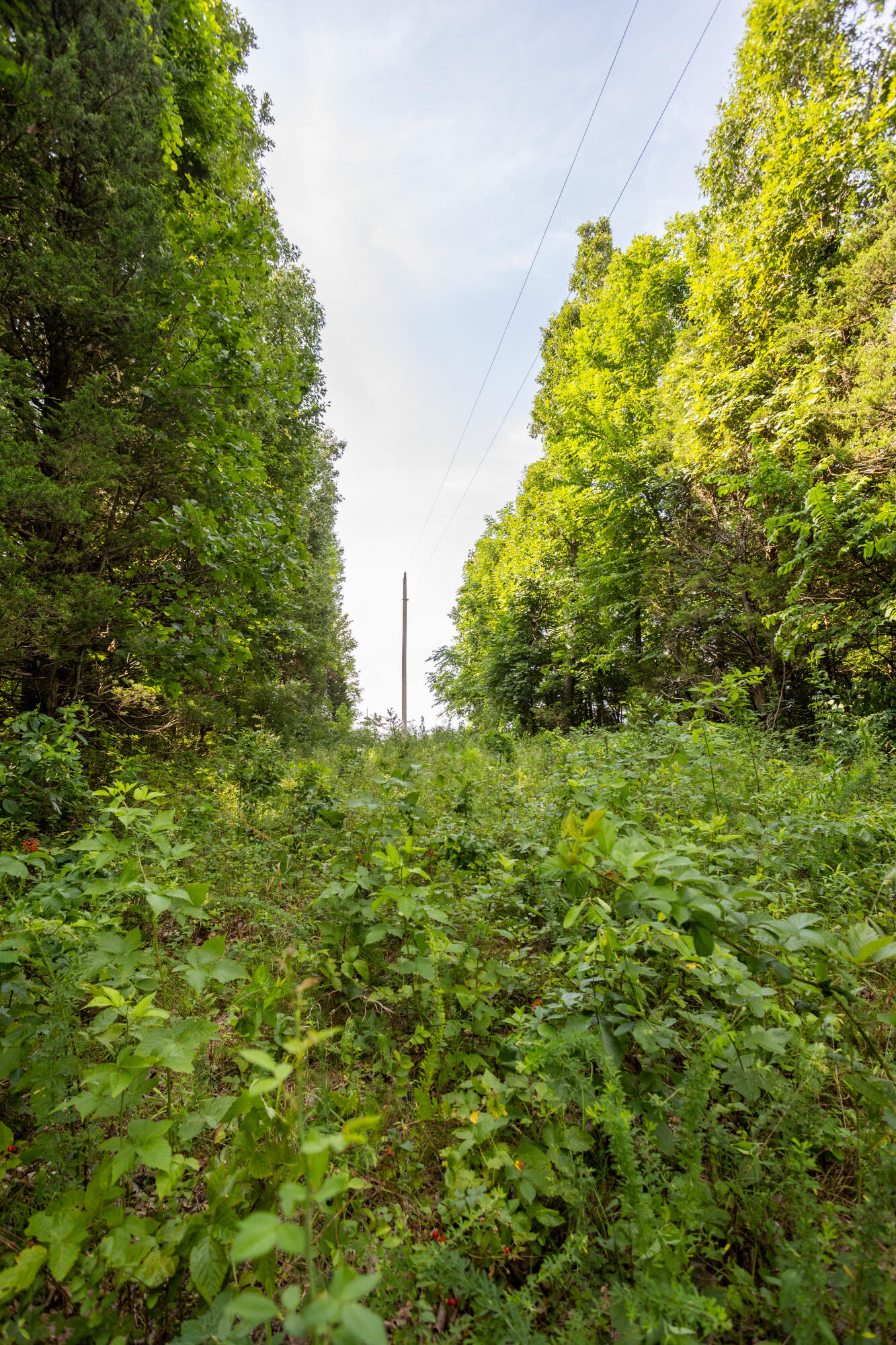 Tbd Goat Road Property Photo 19