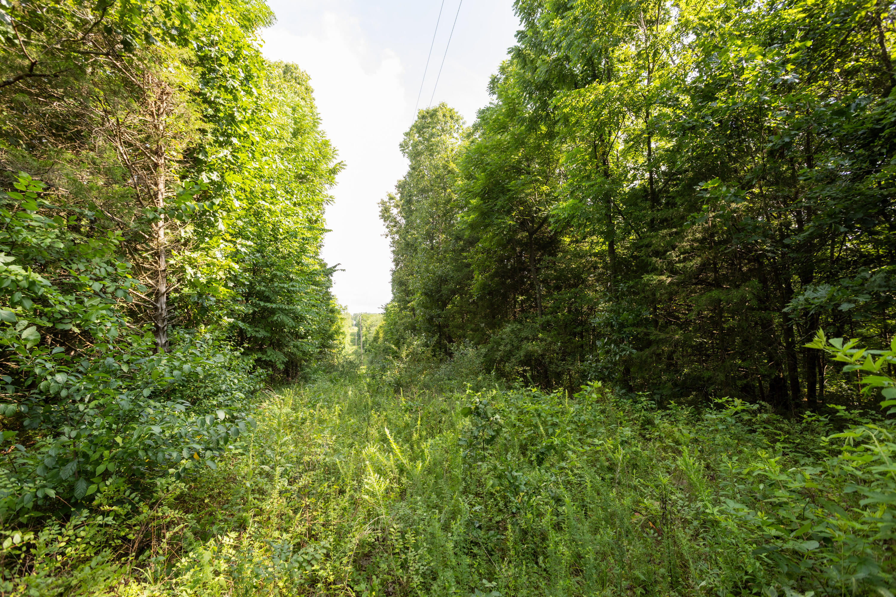 Tbd Goat Road Property Photo 23