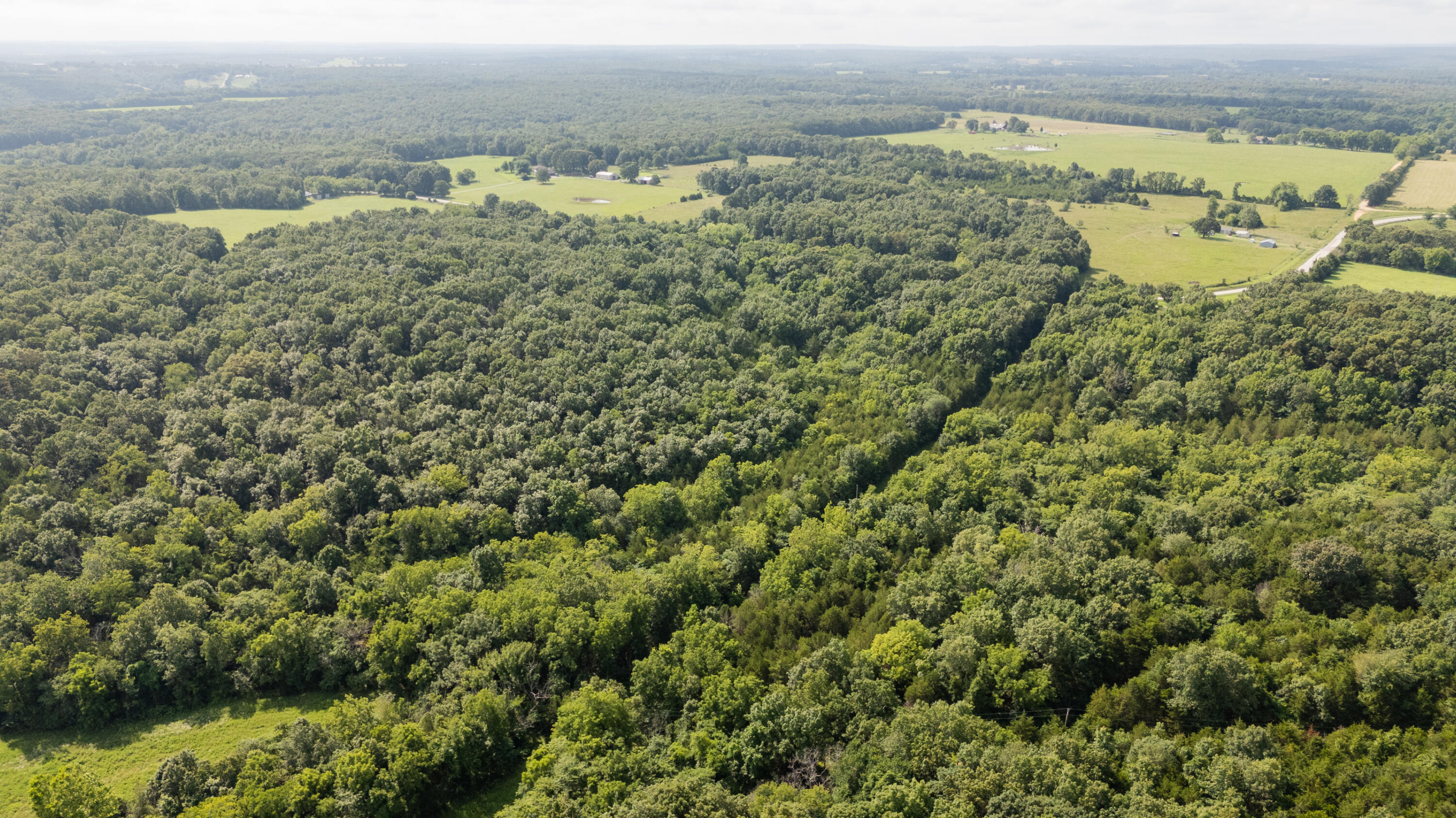 Tbd Goat Road Property Photo 35