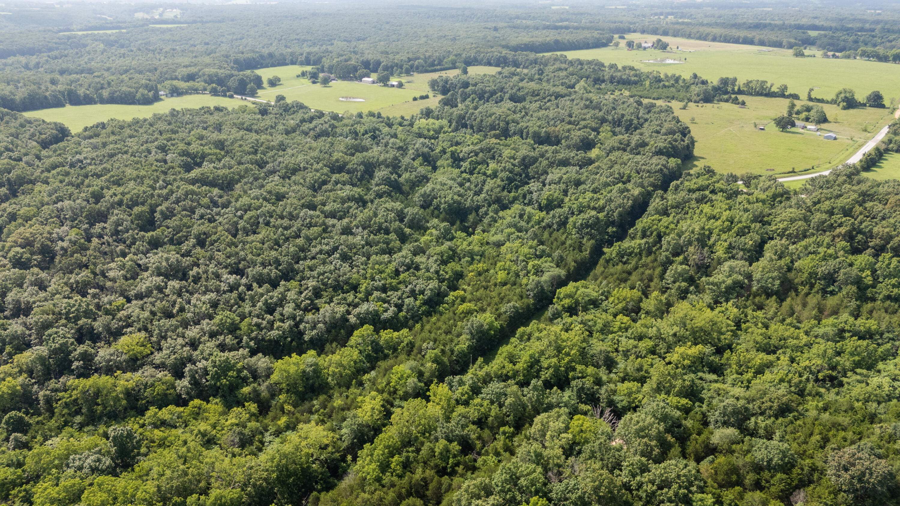Tbd Goat Road Property Photo 36
