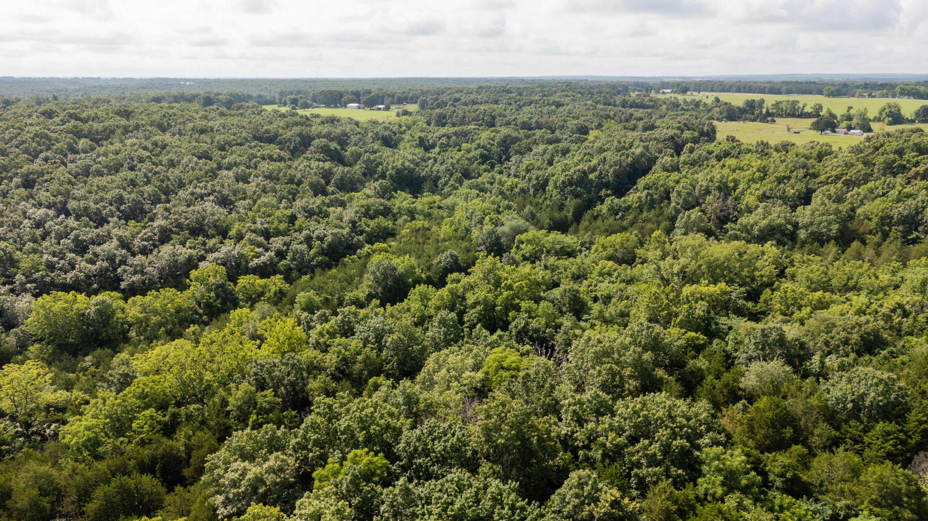 Tbd Goat Road Property Photo 37
