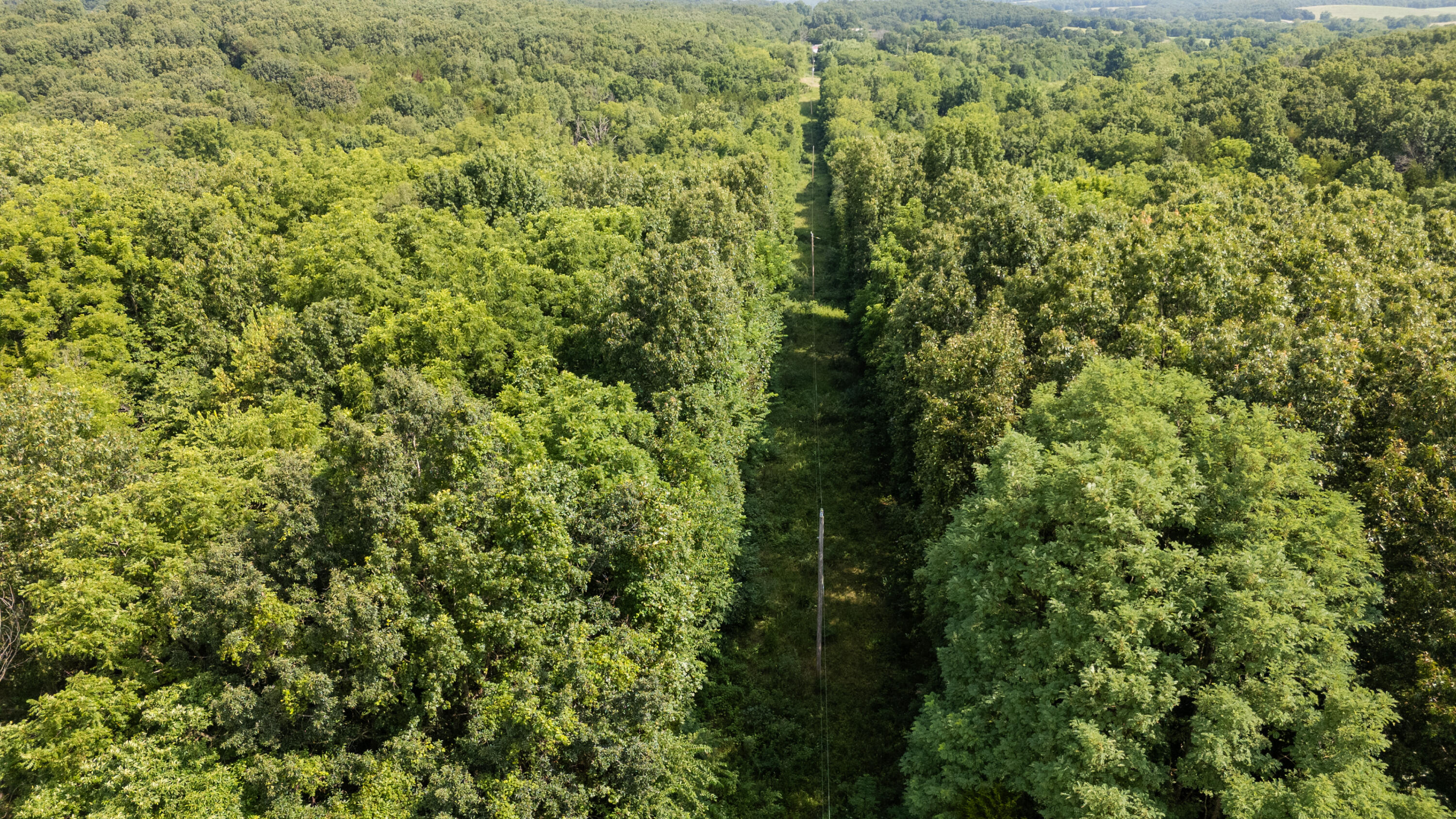 Tbd Goat Road Property Photo 41