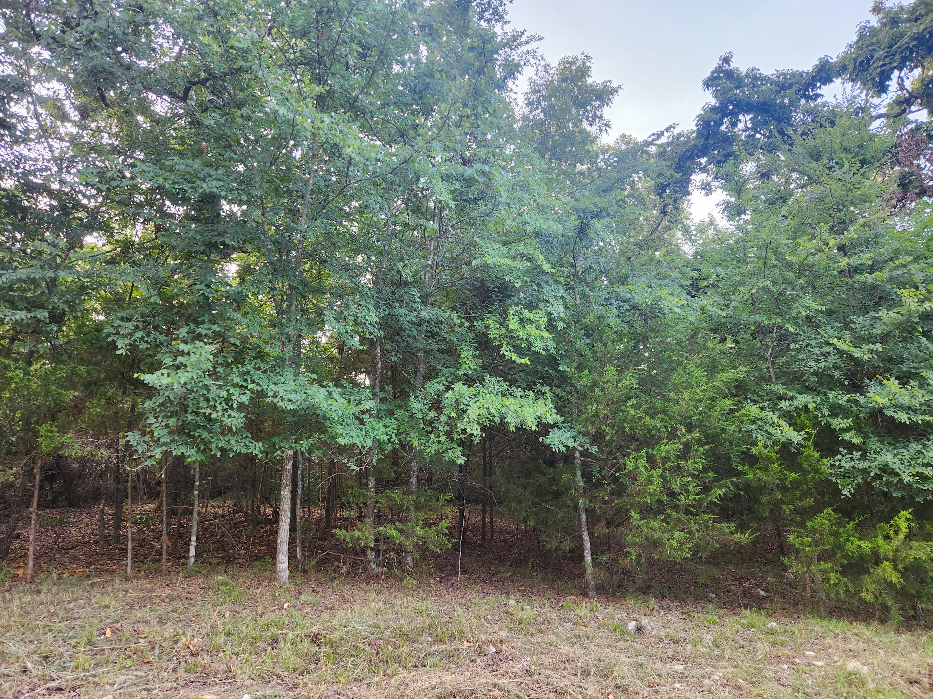 227 & 228 East Mockingbird Drive Property Photo 3