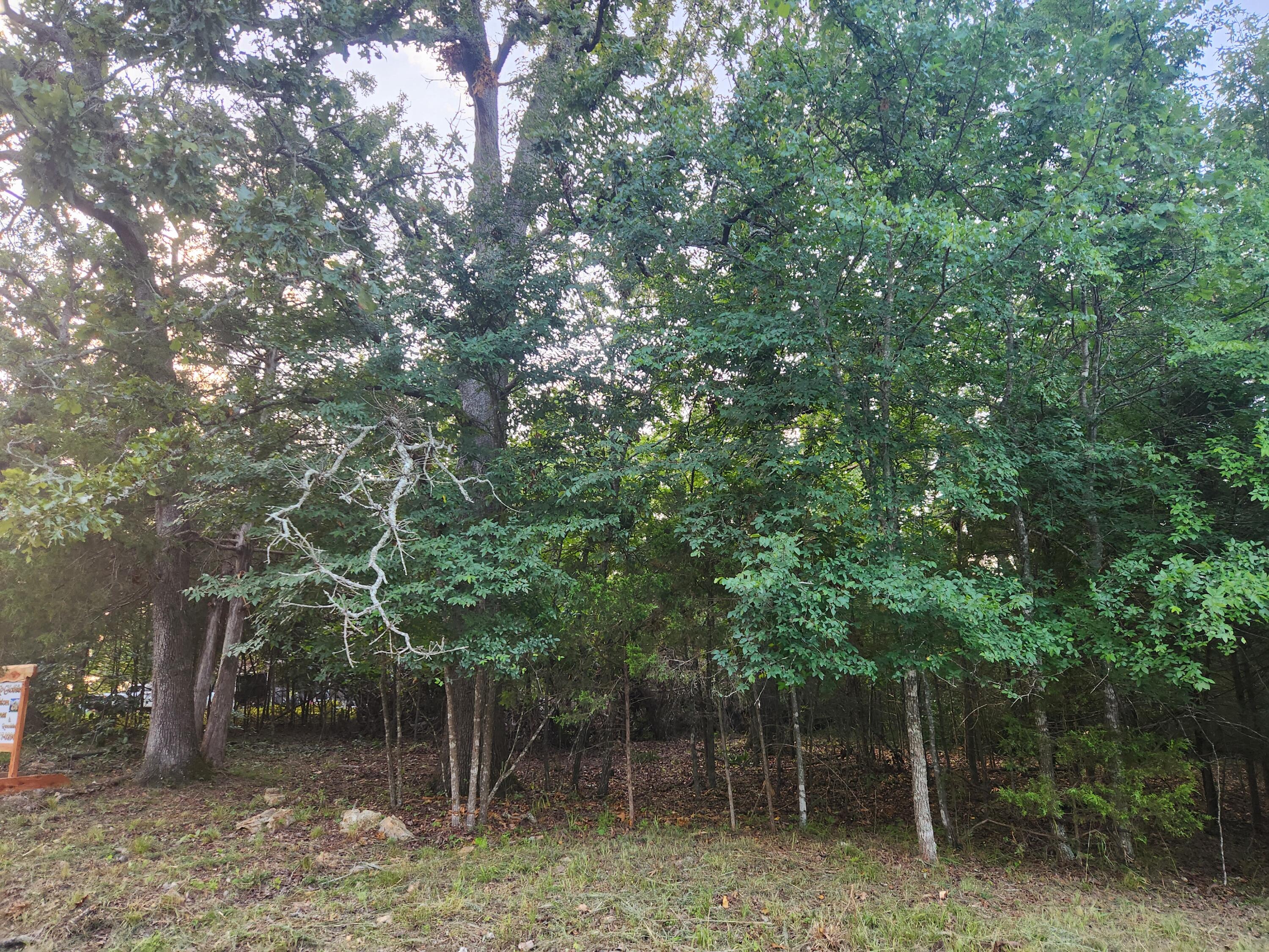 227 & 228 East Mockingbird Drive Property Photo 4