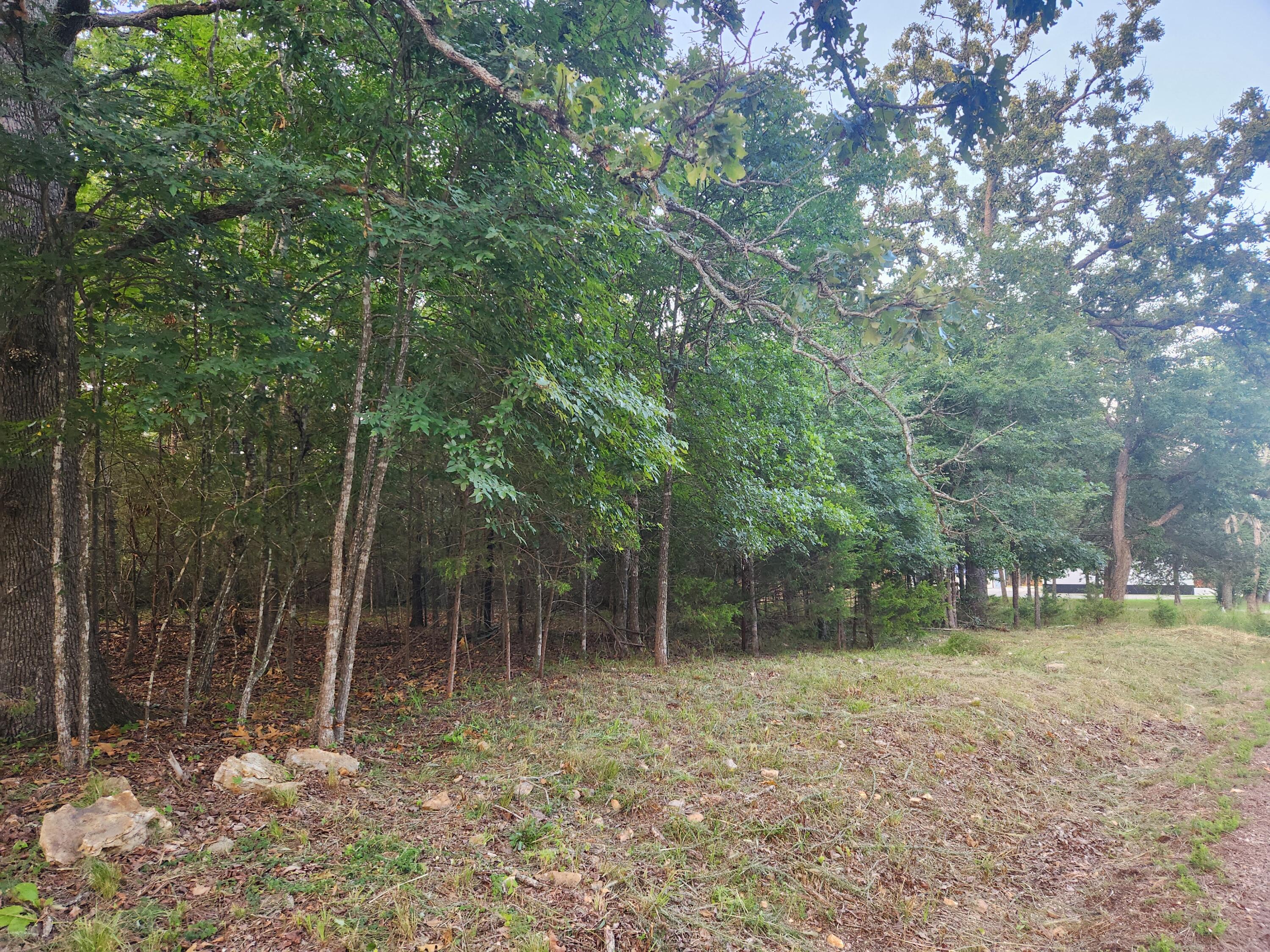 227 & 228 East Mockingbird Drive Property Photo 7
