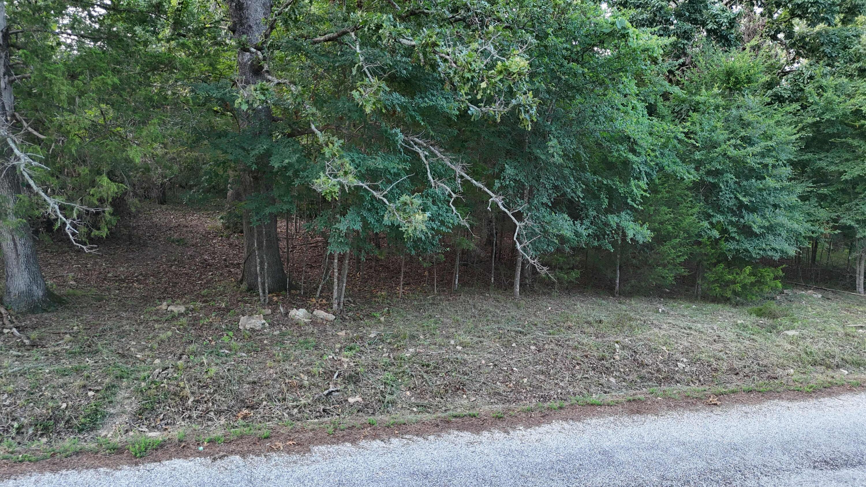 227 & 228 East Mockingbird Drive Property Photo 11