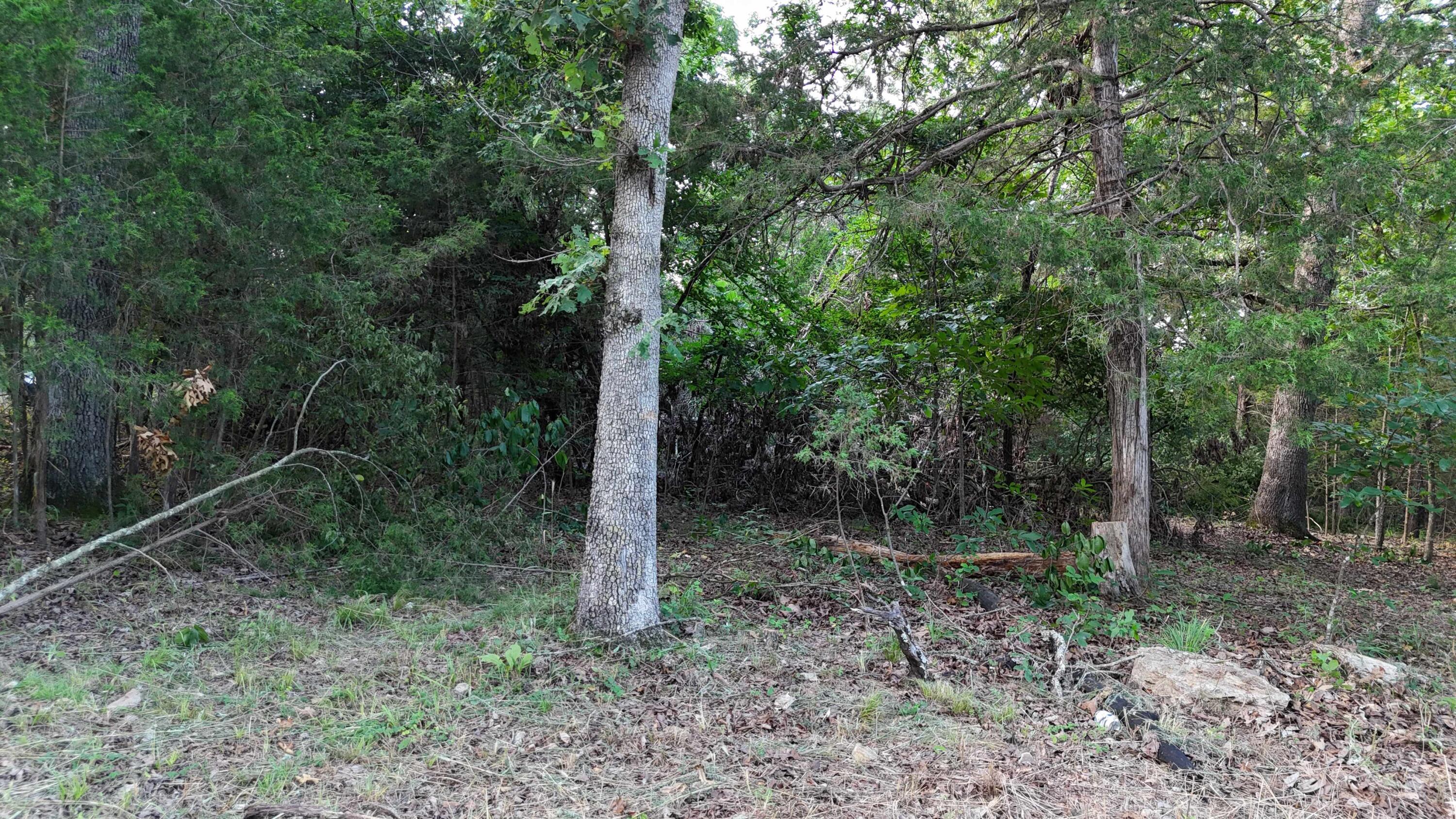 227 & 228 East Mockingbird Drive Property Photo 14