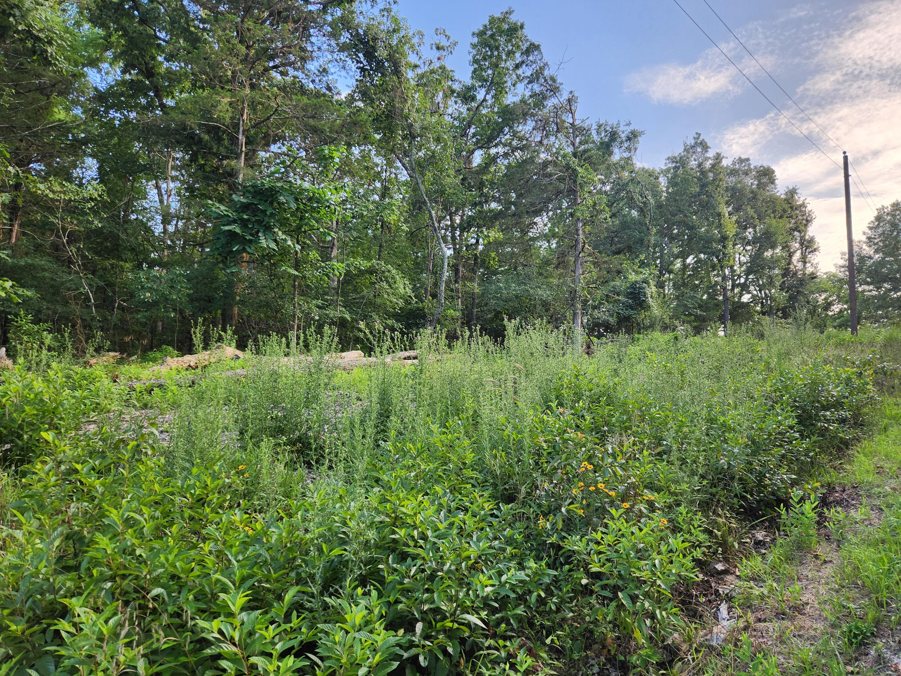 217&218 A Drive Property Photo 2