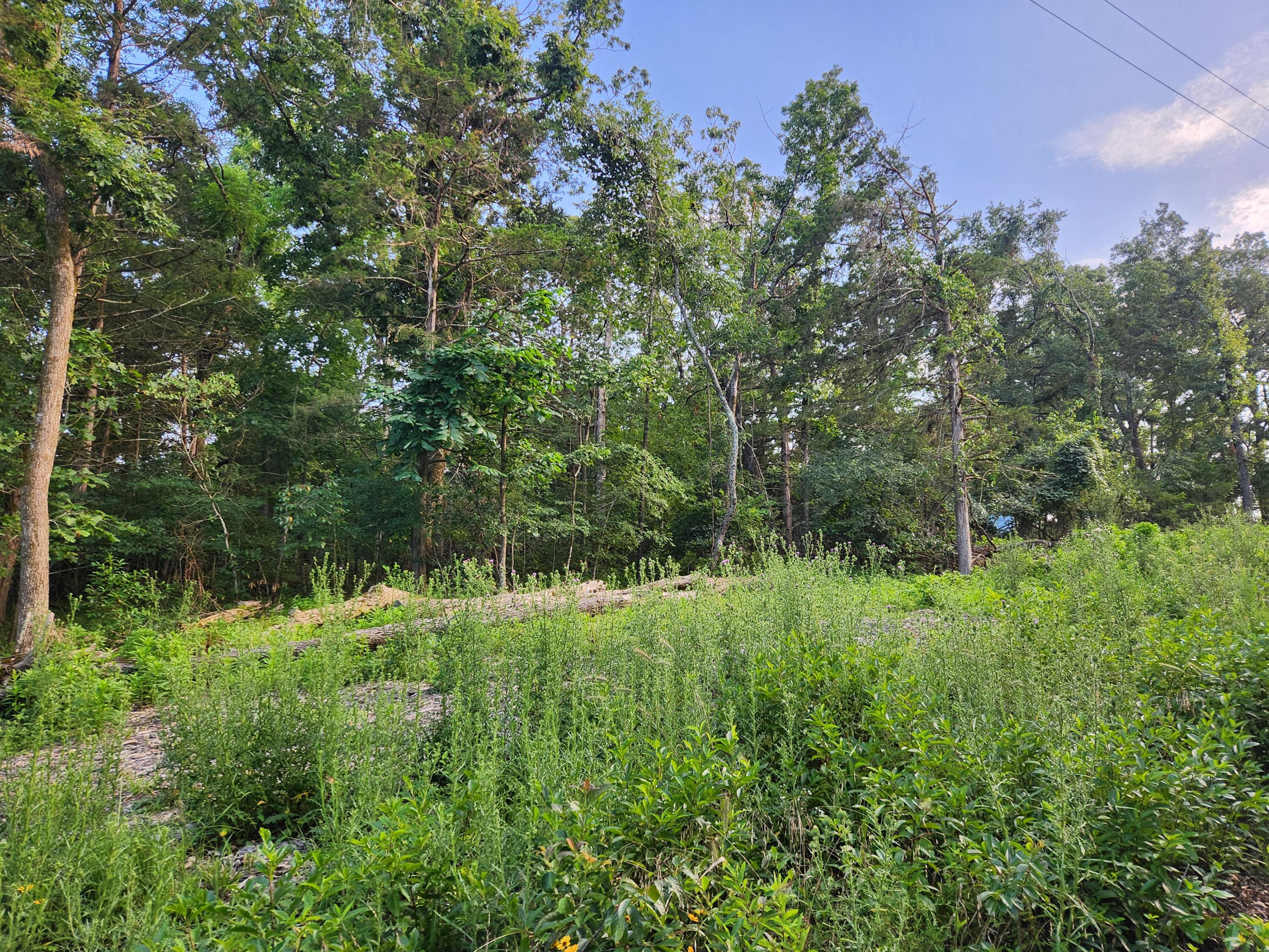 217&218 A Drive Property Photo 10