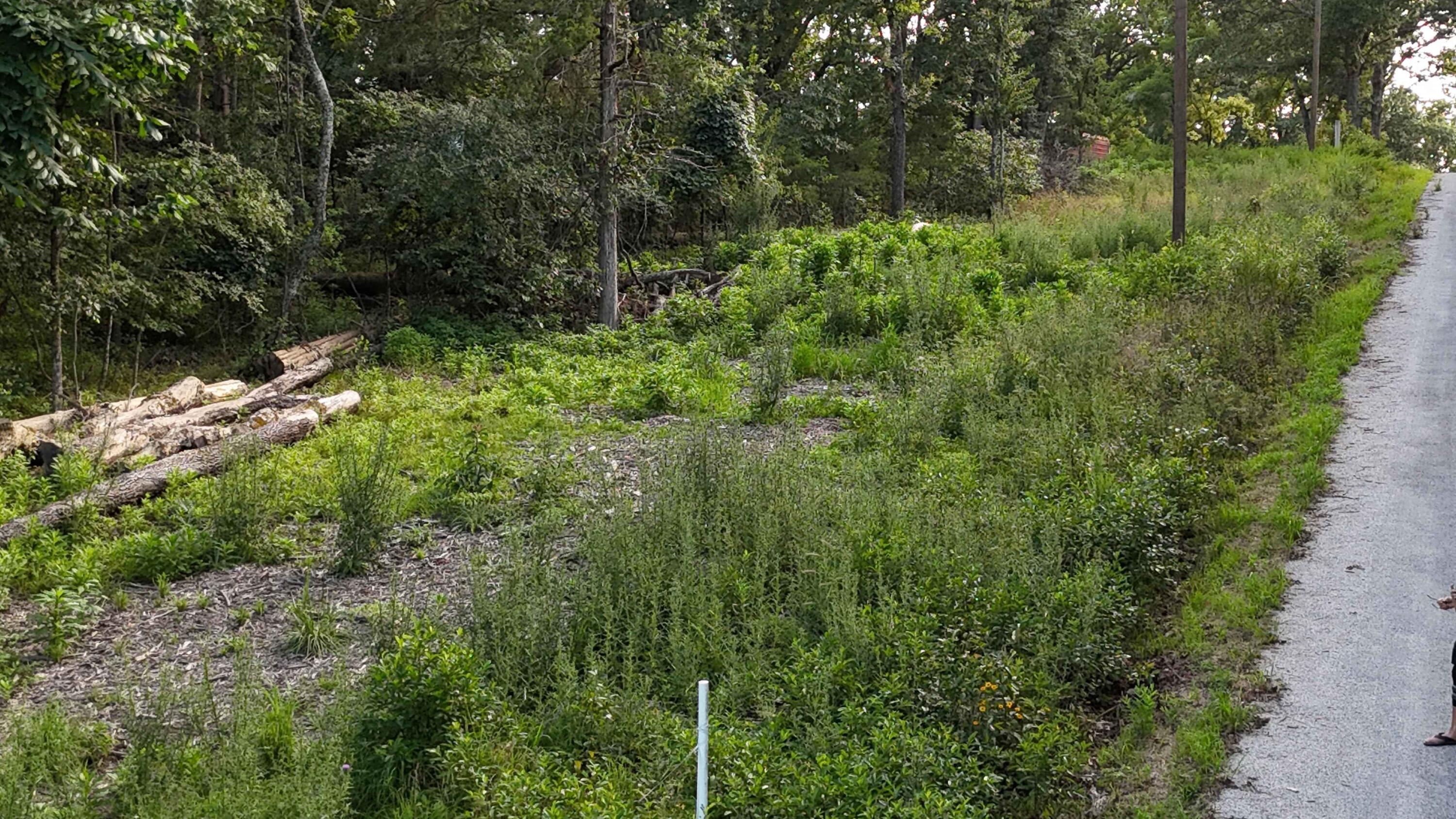 217&218 A Drive Property Photo 16