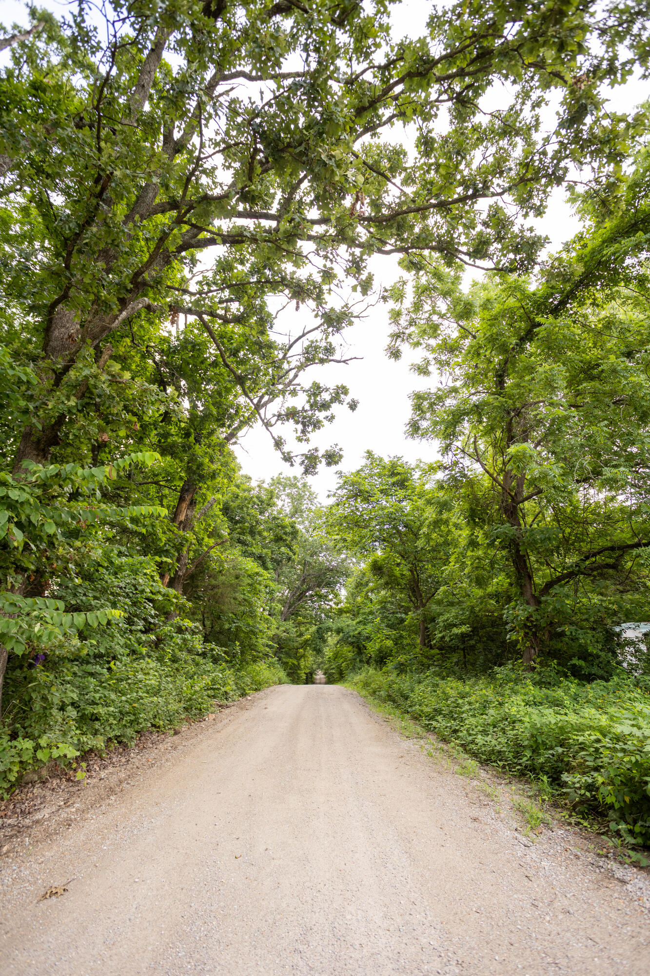 Tbd Tract 1 Goat Road Property Photo 3