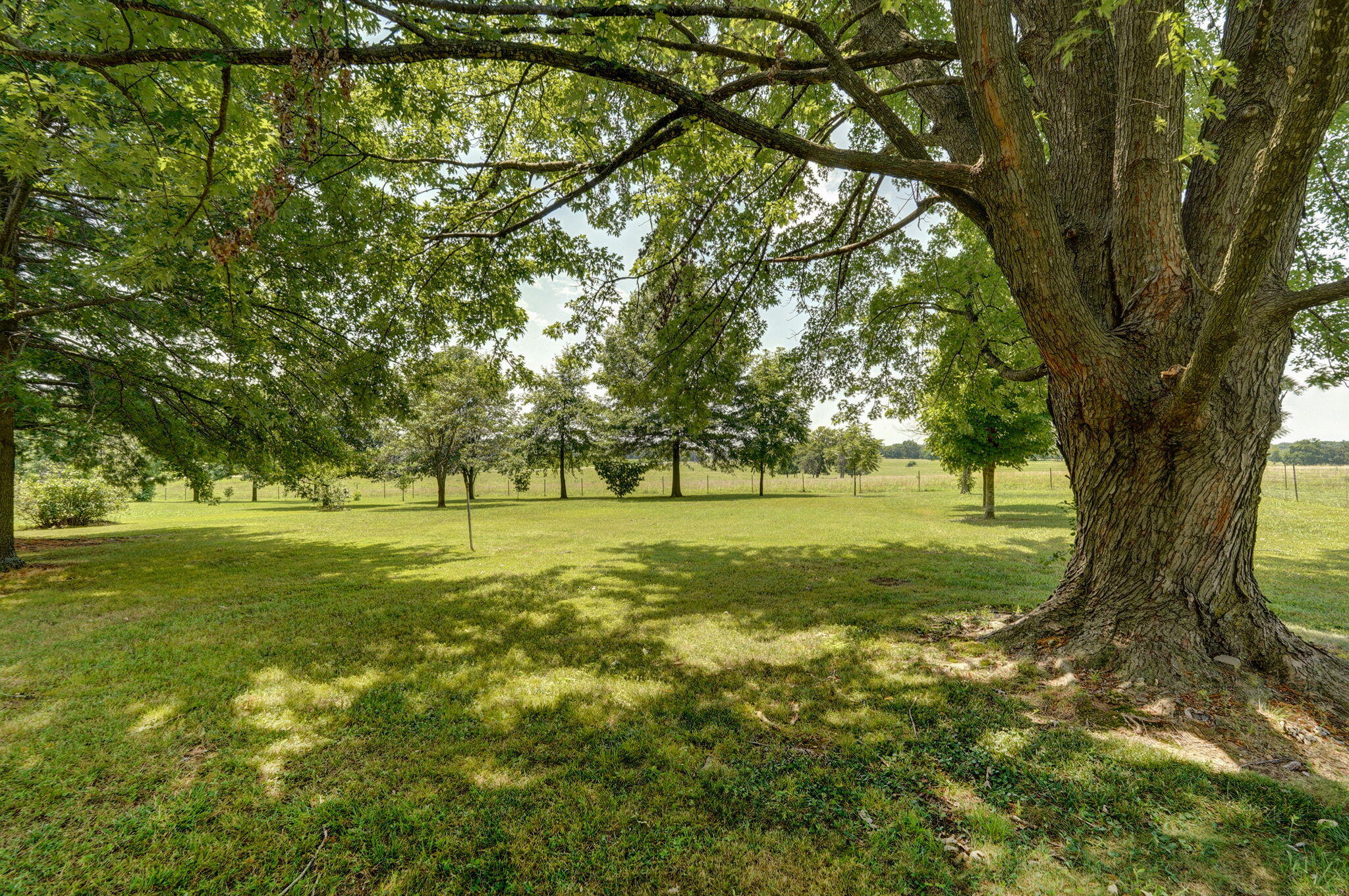 1259 Pine Drive Property Photo 3