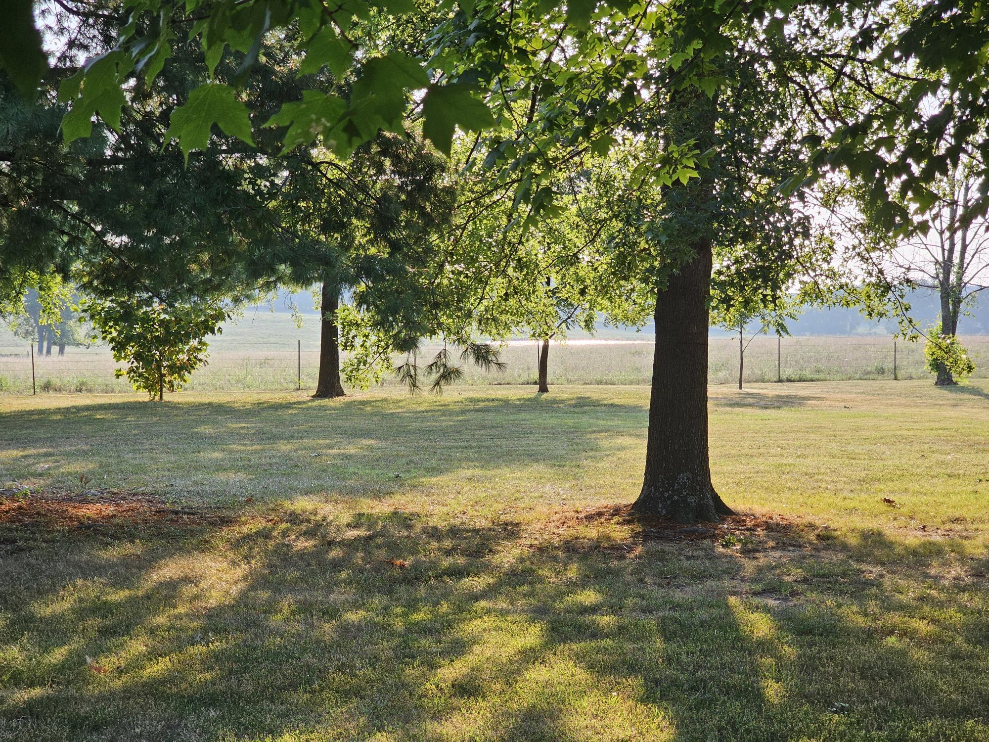 1259 Pine Drive Property Photo 49