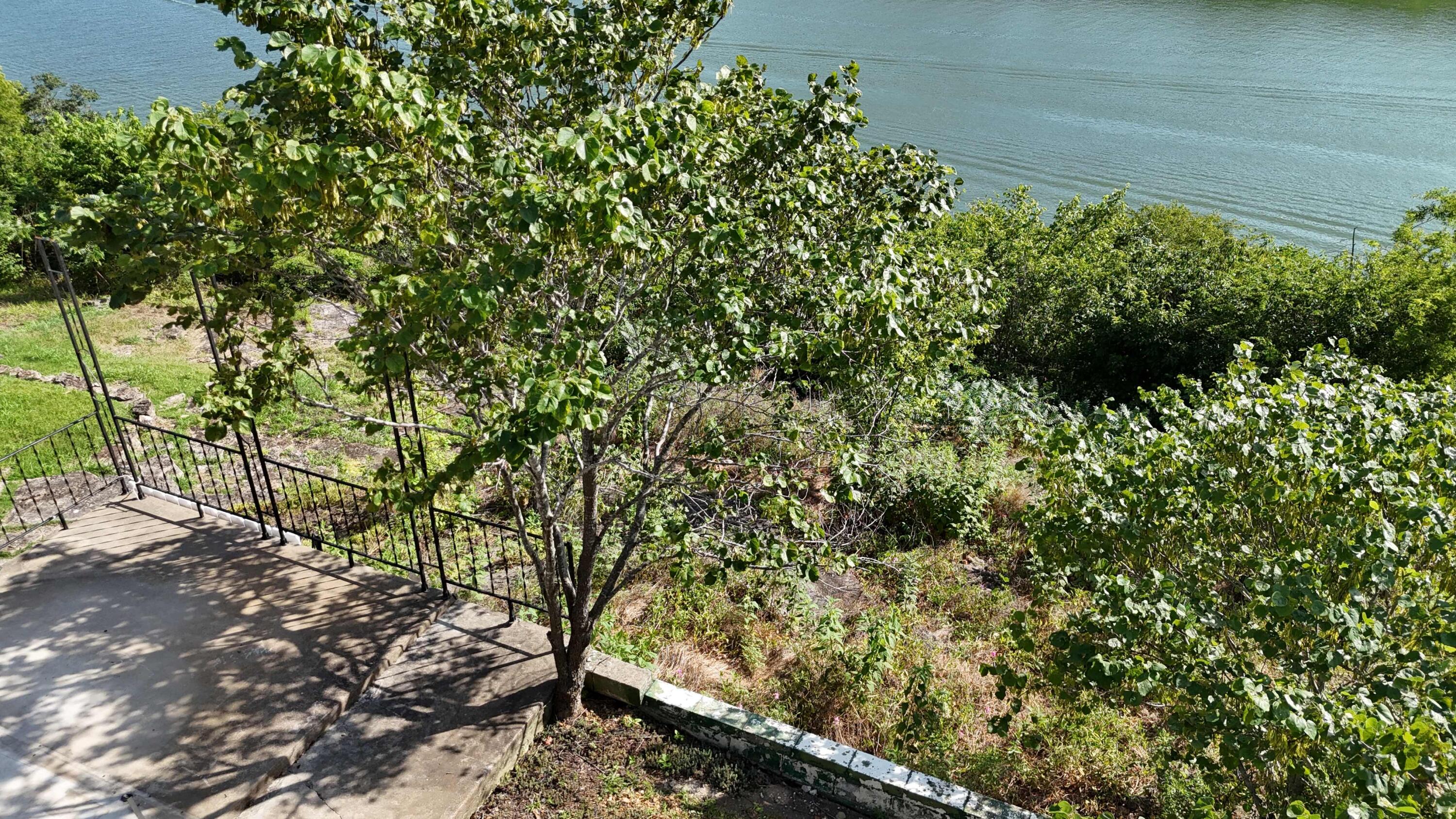 27229 Overlook Lane Property Photo 14
