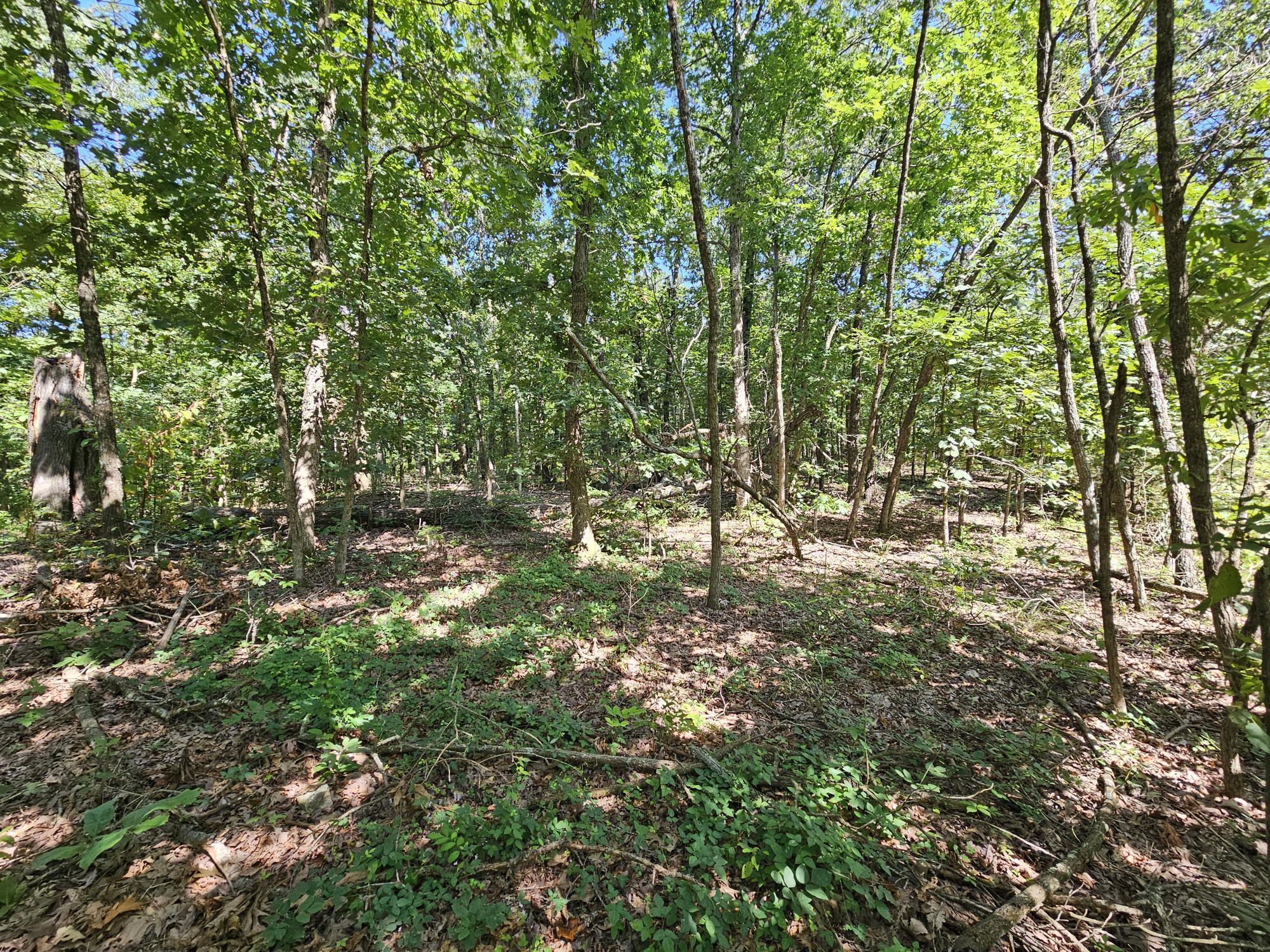 65 Acres Plainview Road Property Photo 1
