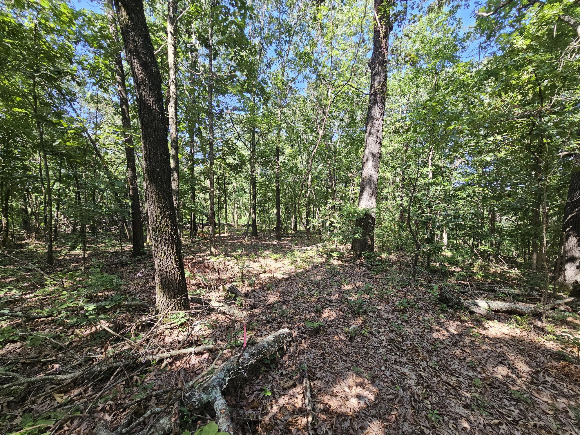 65 Acres Plainview Road Property Photo 2