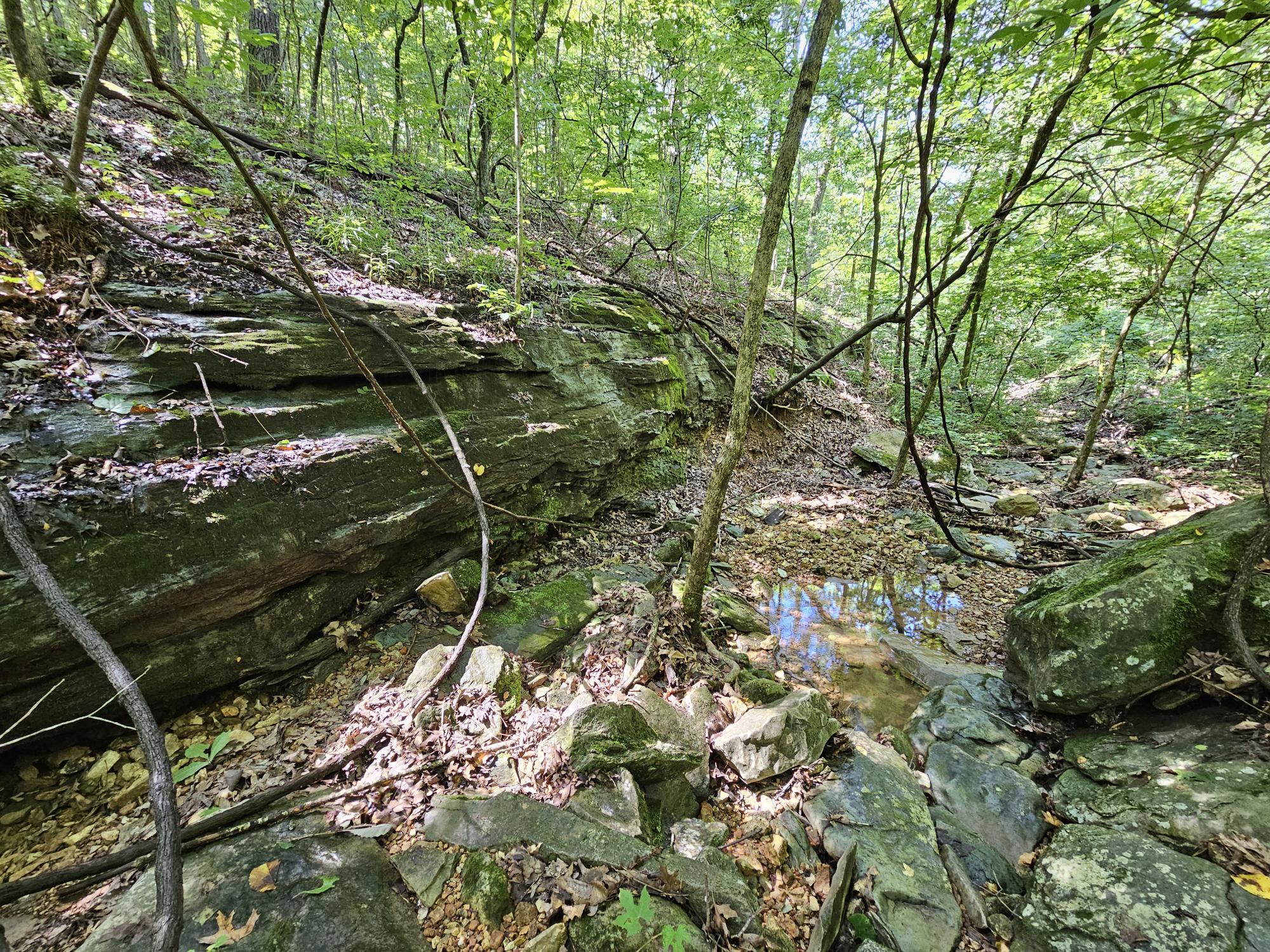 65 Acres Plainview Road Property Photo 3