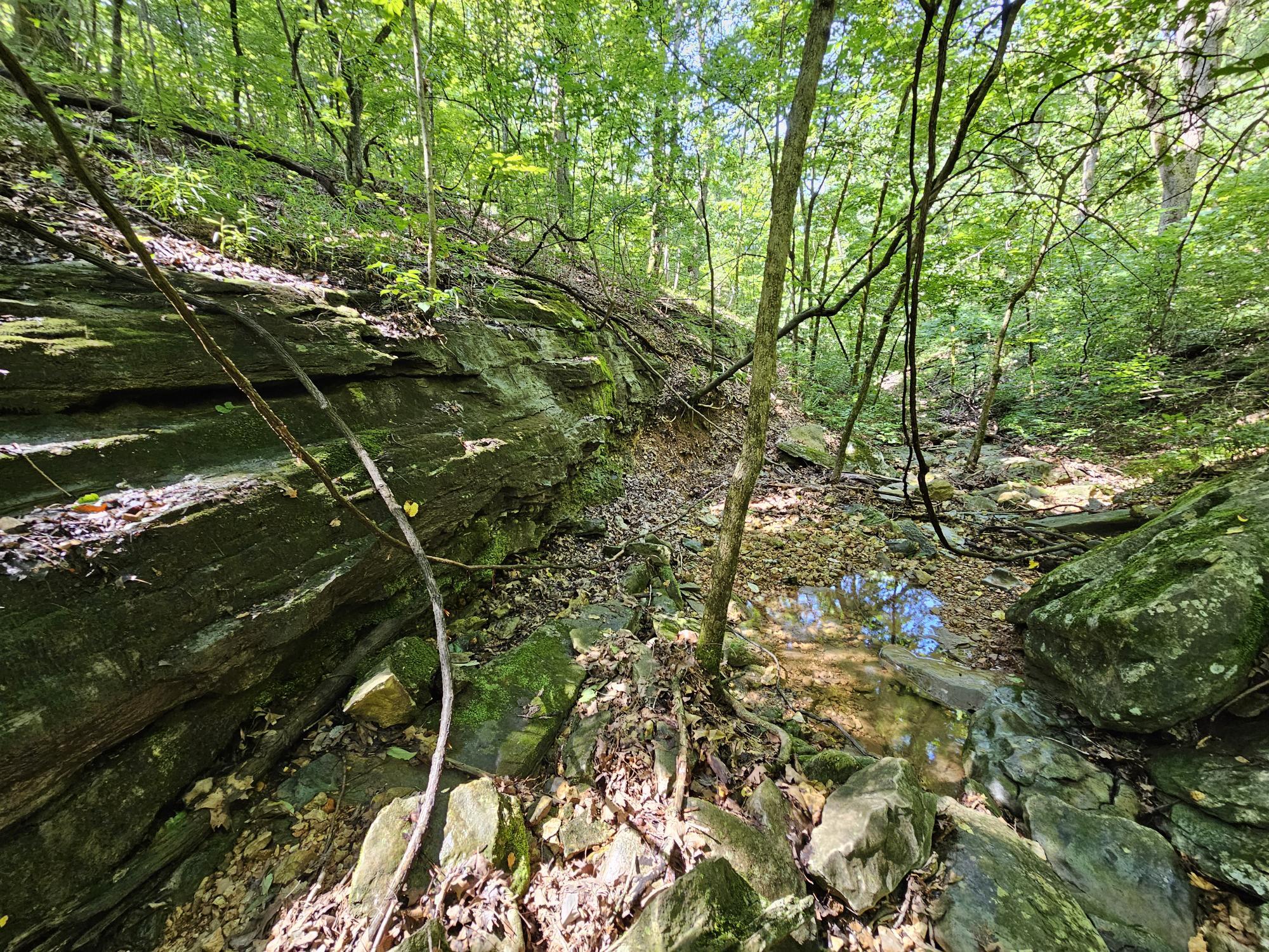 65 Acres Plainview Road Property Photo 7