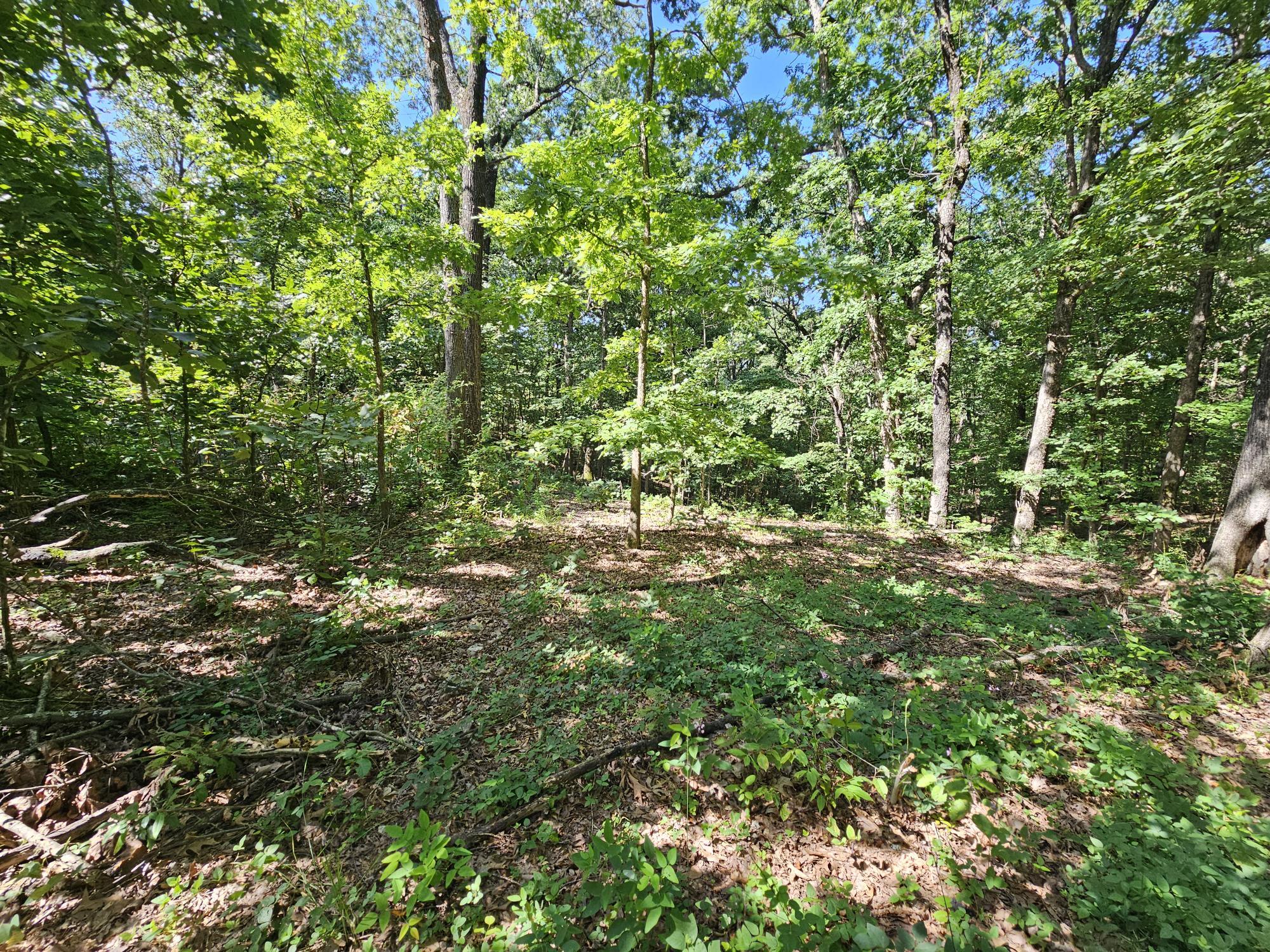 65 Acres Plainview Road Property Photo 12