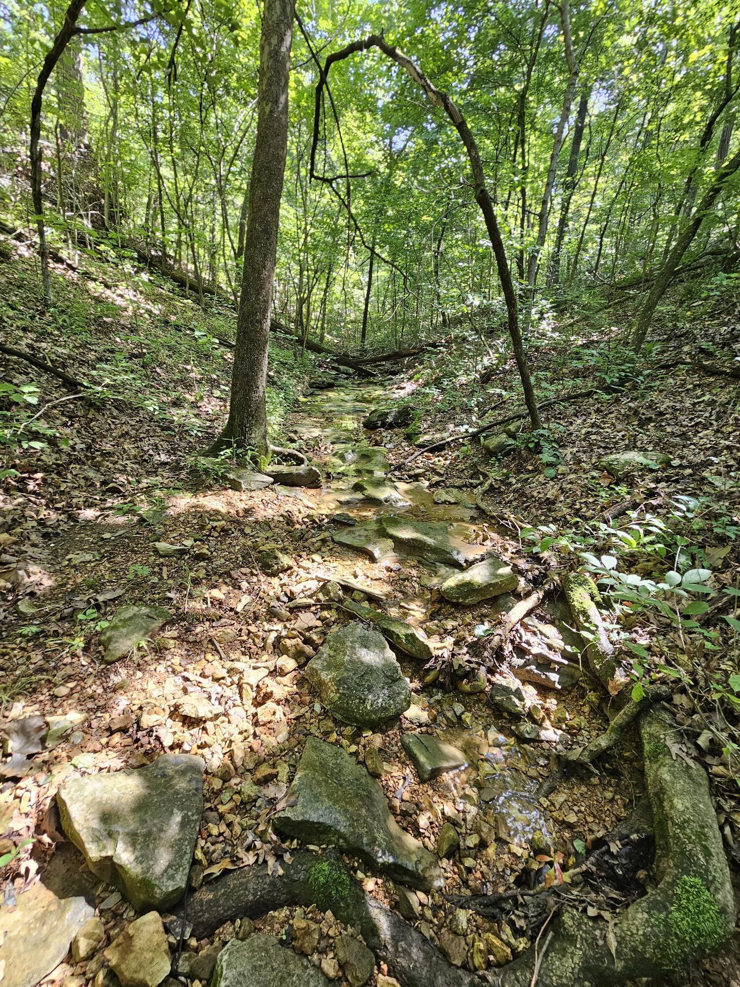 65 Acres Plainview Road Property Photo 17