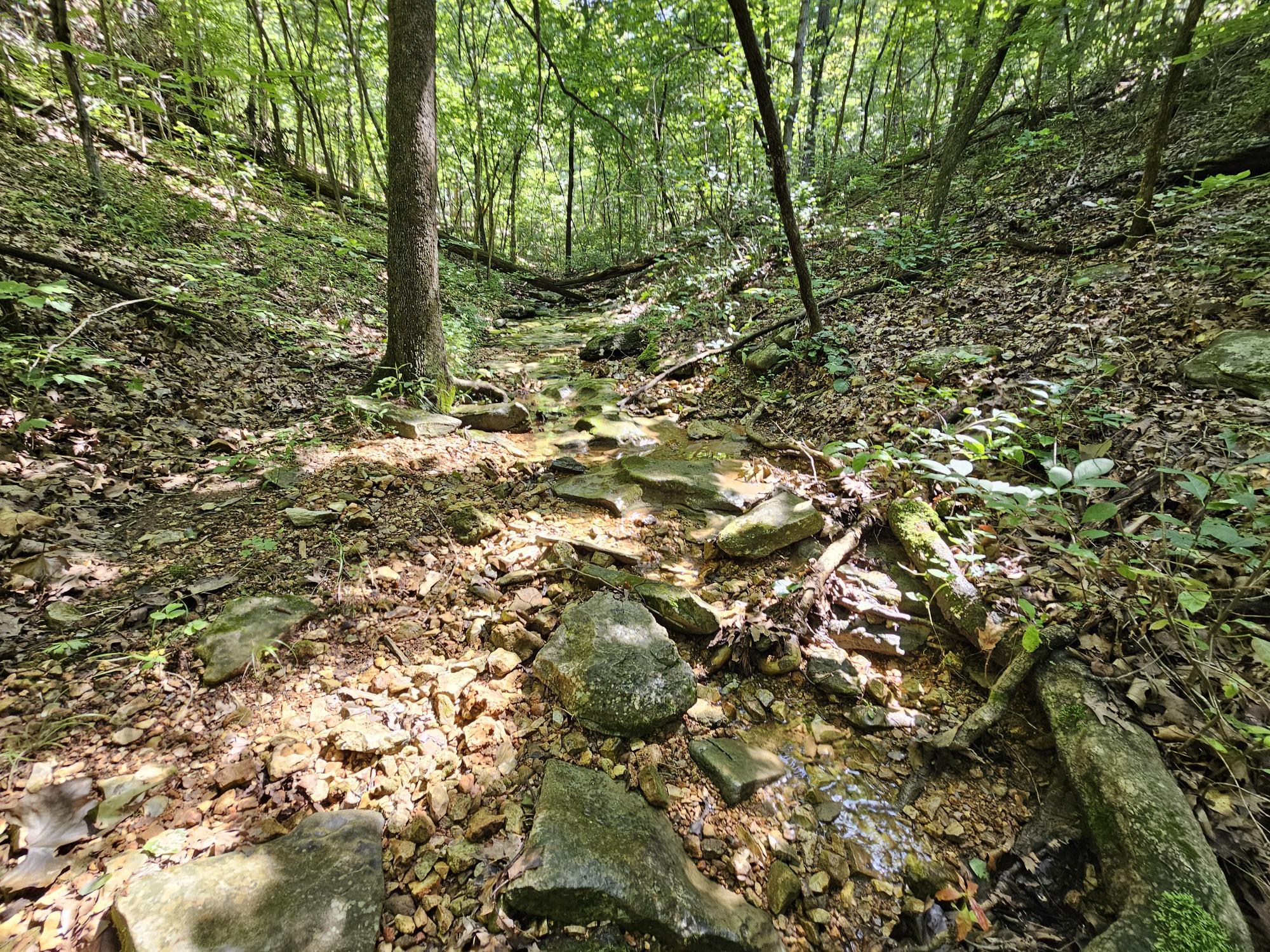 65 Acres Plainview Road Property Photo 18