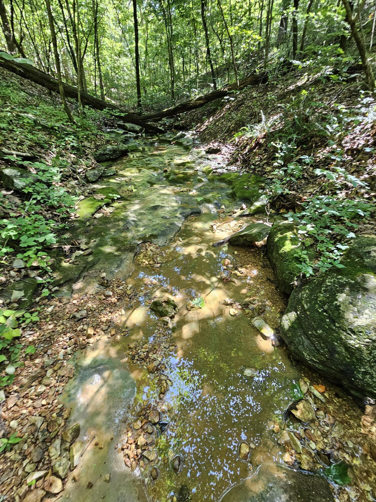 65 Acres Plainview Road Property Photo 22