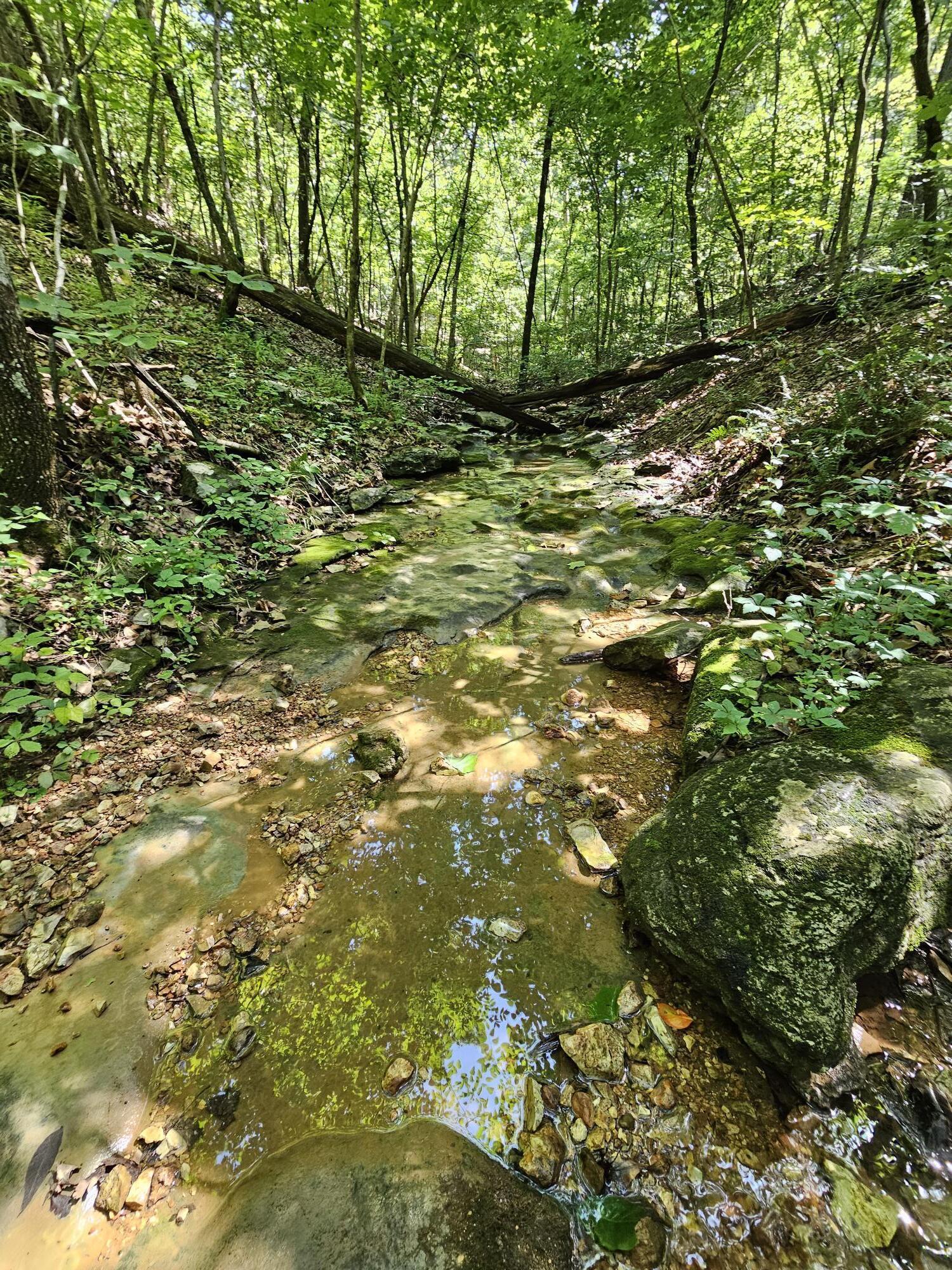 65 Acres Plainview Road Property Photo 23