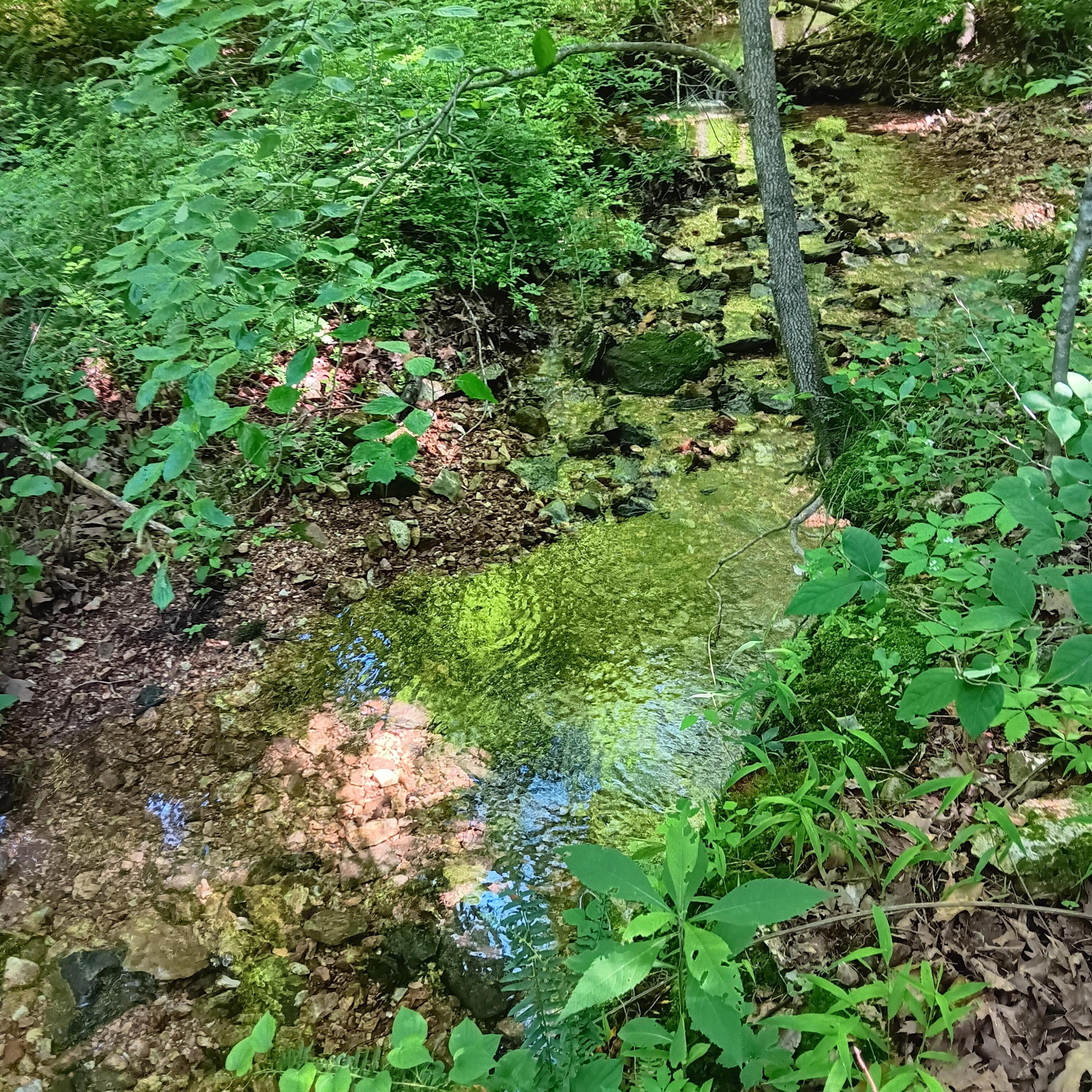 65 Acres Plainview Road Property Photo 25