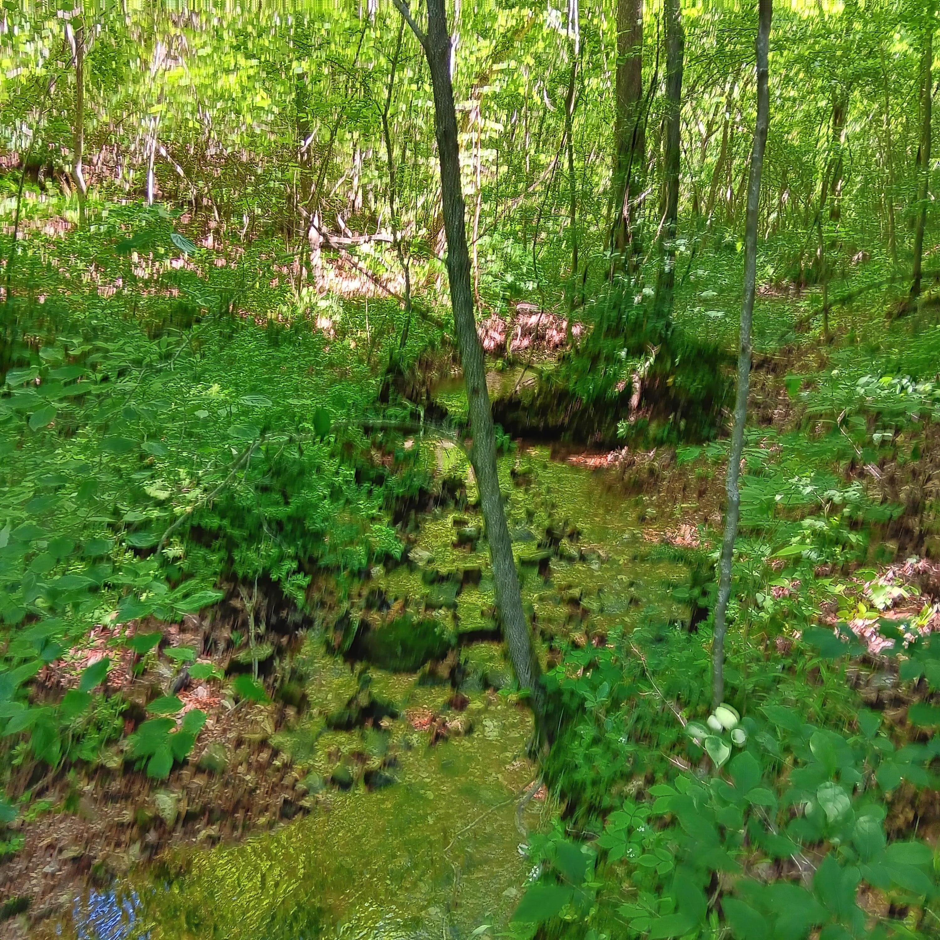 65 Acres Plainview Road Property Photo 26