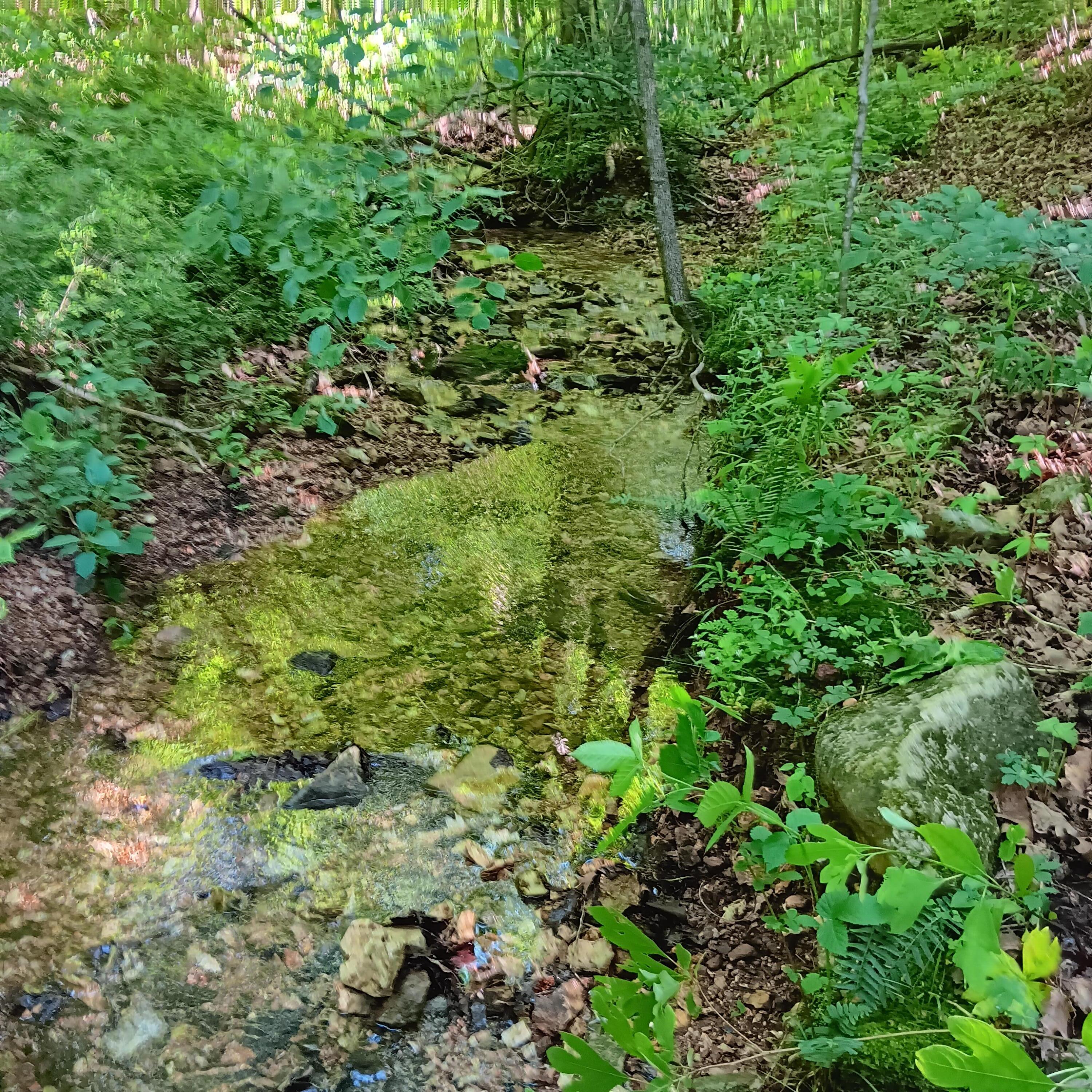 65 Acres Plainview Road Property Photo 27